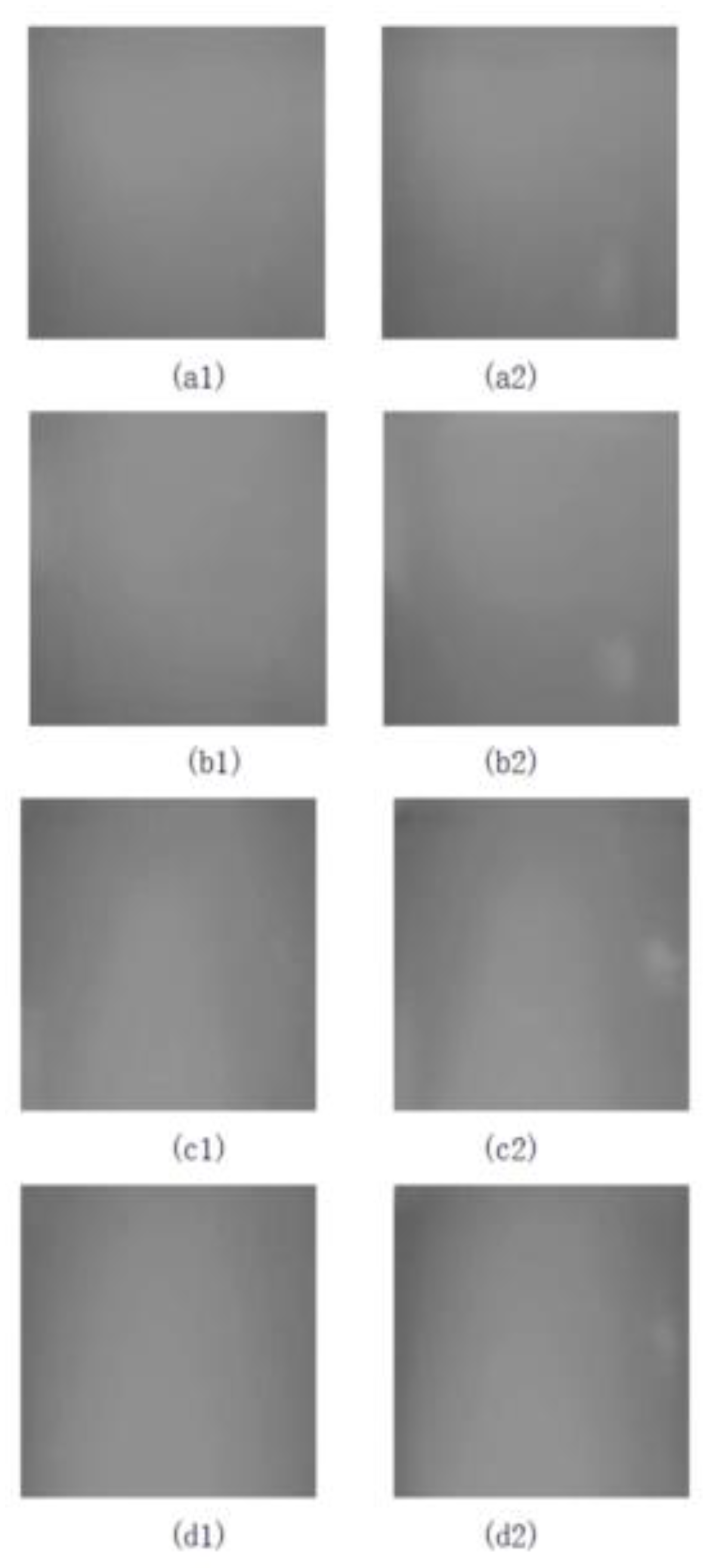 Electronics 12 05037 g005