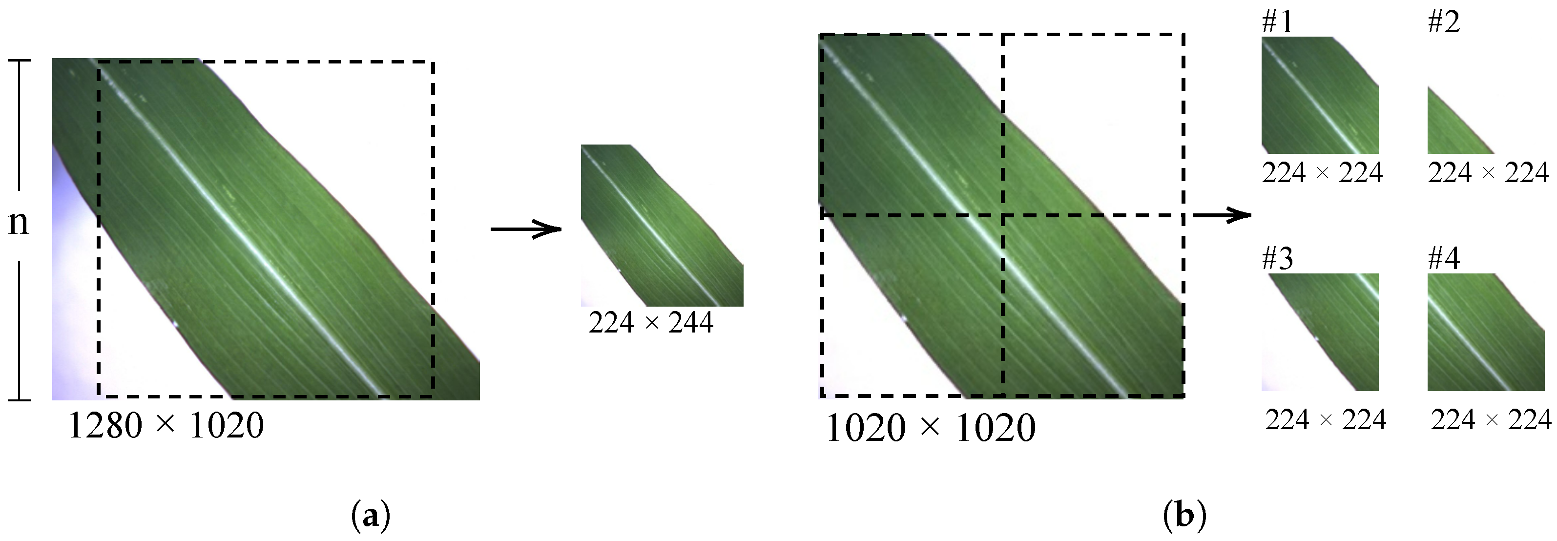 Electronics 13 00016 g005