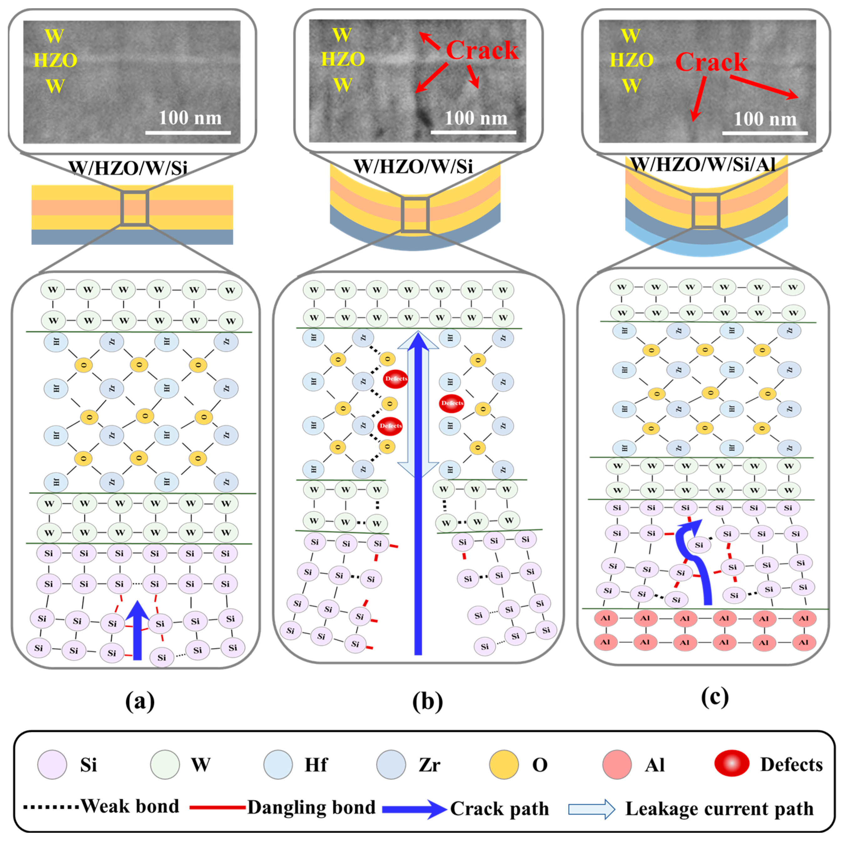Electronics 13 00024 g007