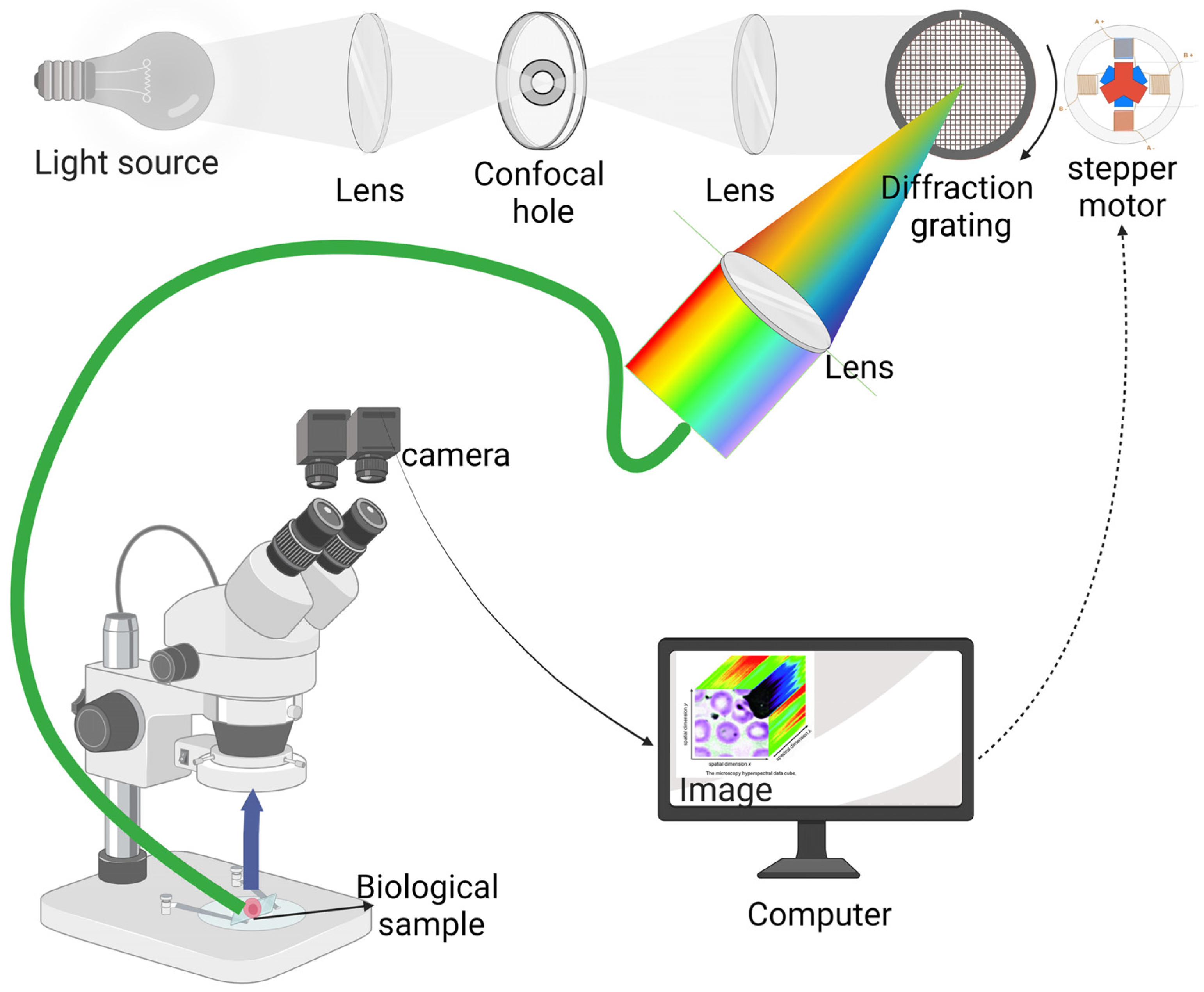 Electronics 13 00252 g001