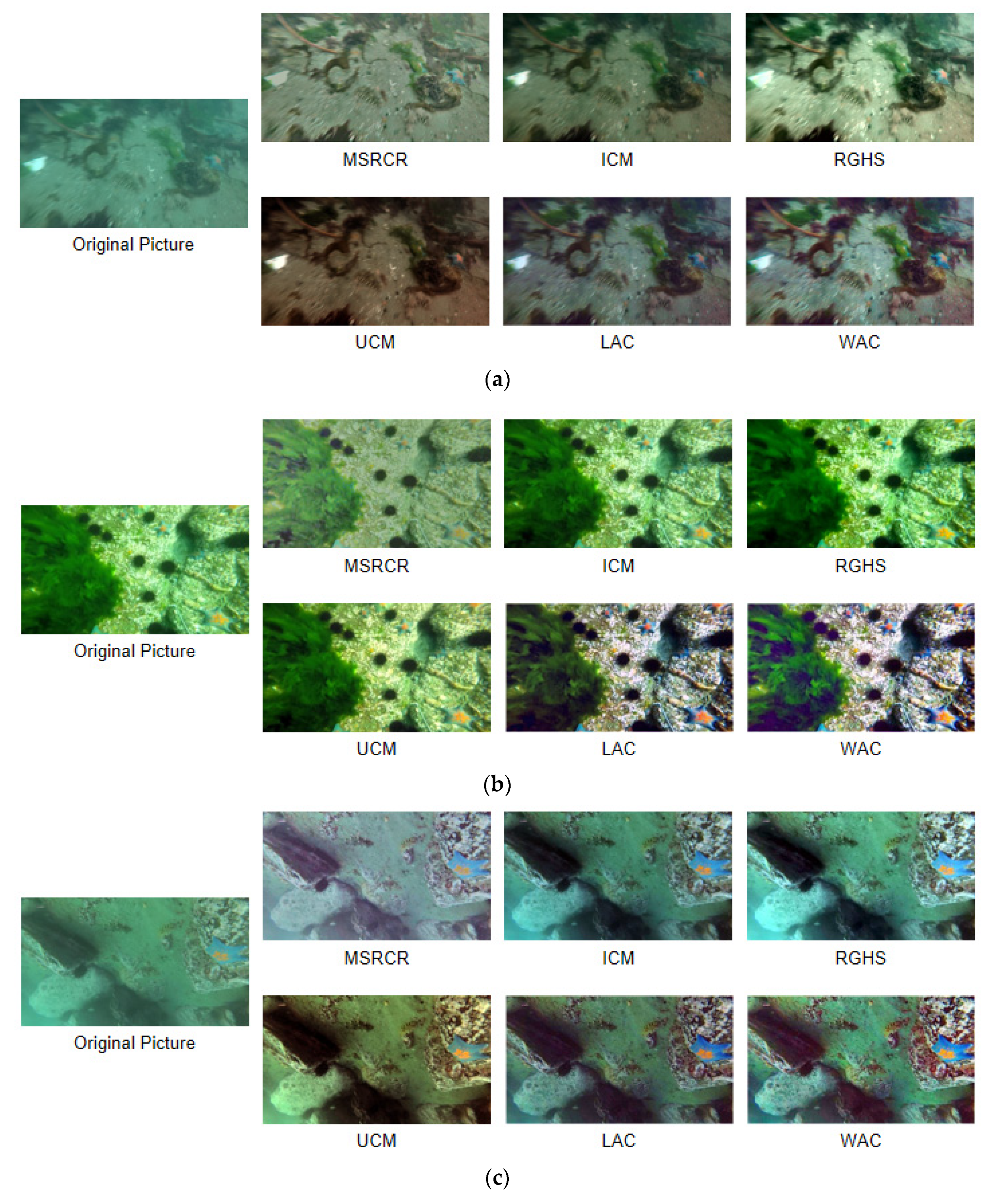 Electronics 13 00274 g006a