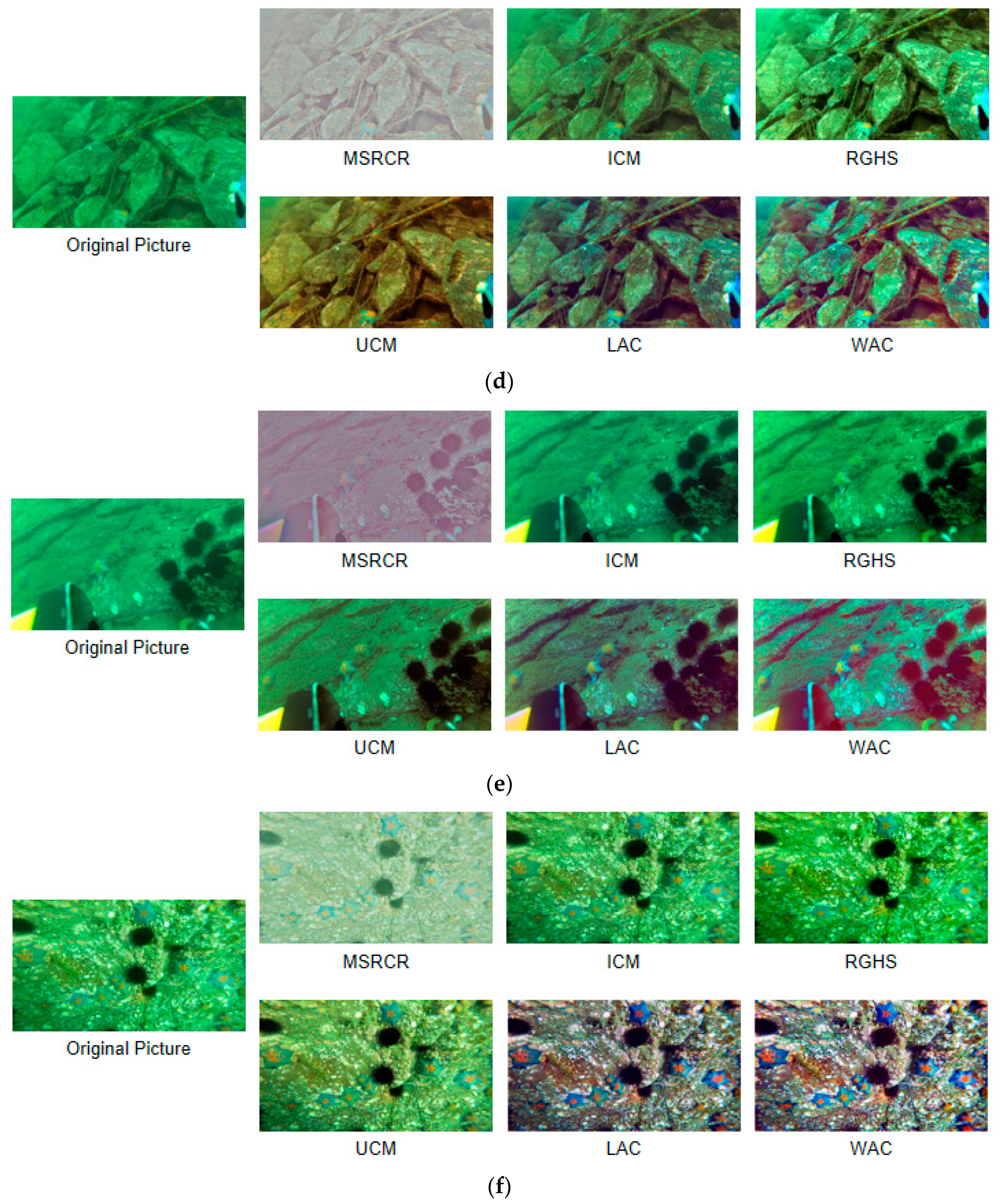 Electronics 13 00274 g006b