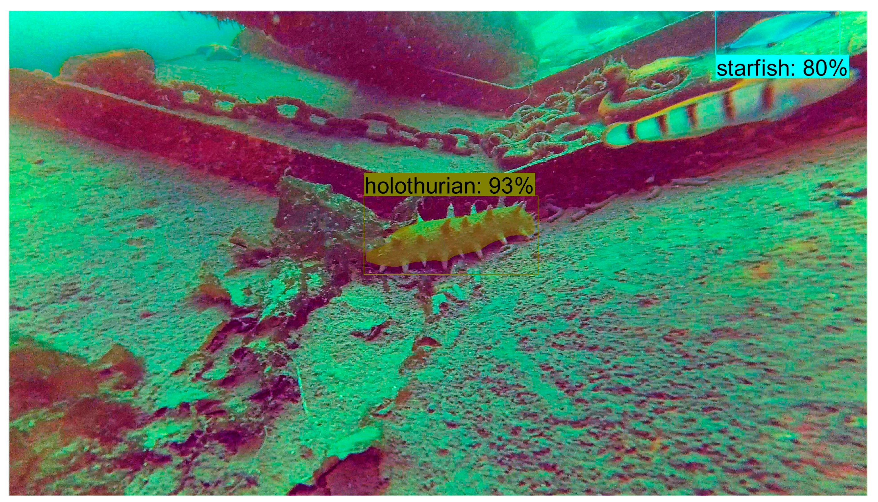 Electronics 13 00274 g008