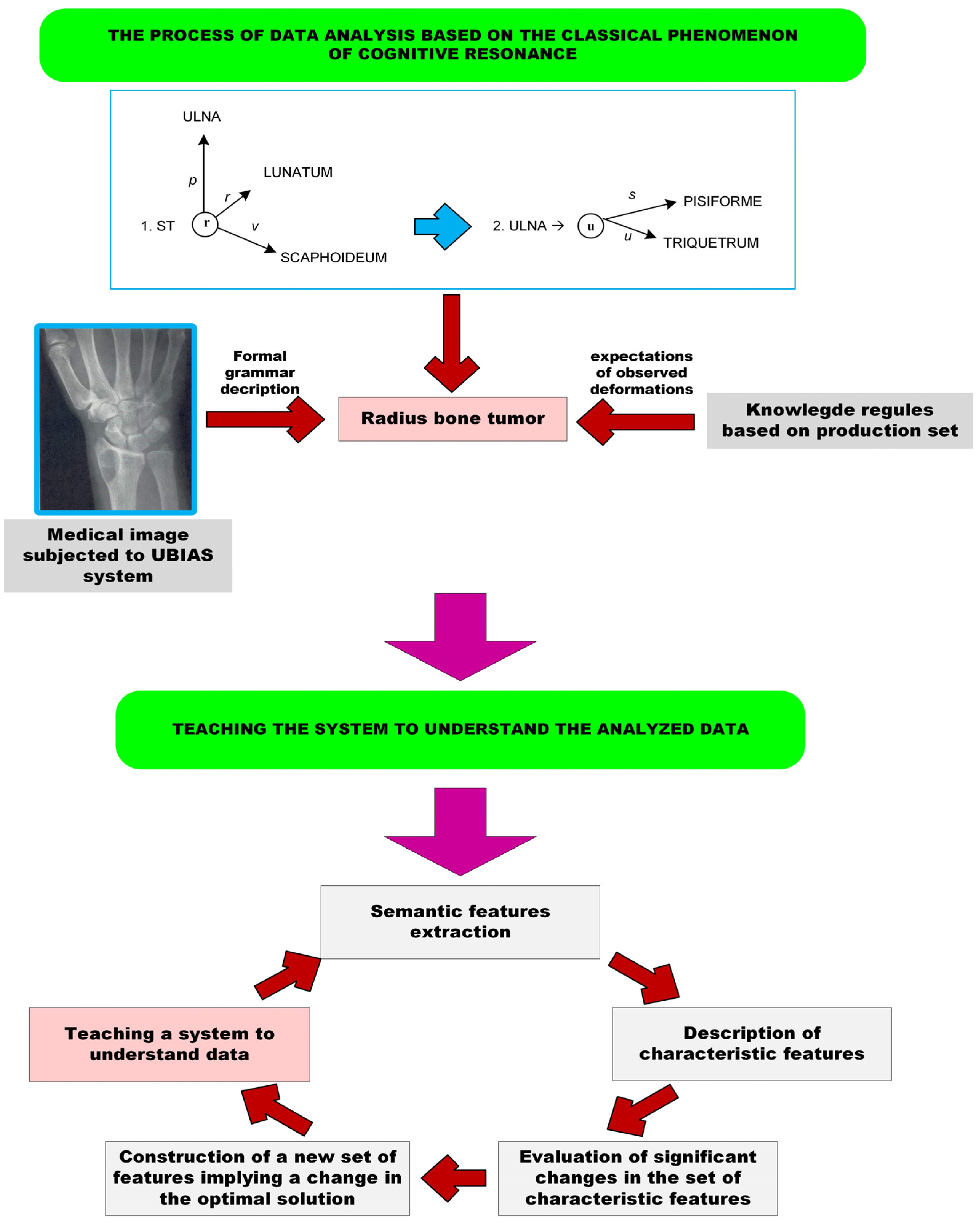 Electronics 13 00325 g004