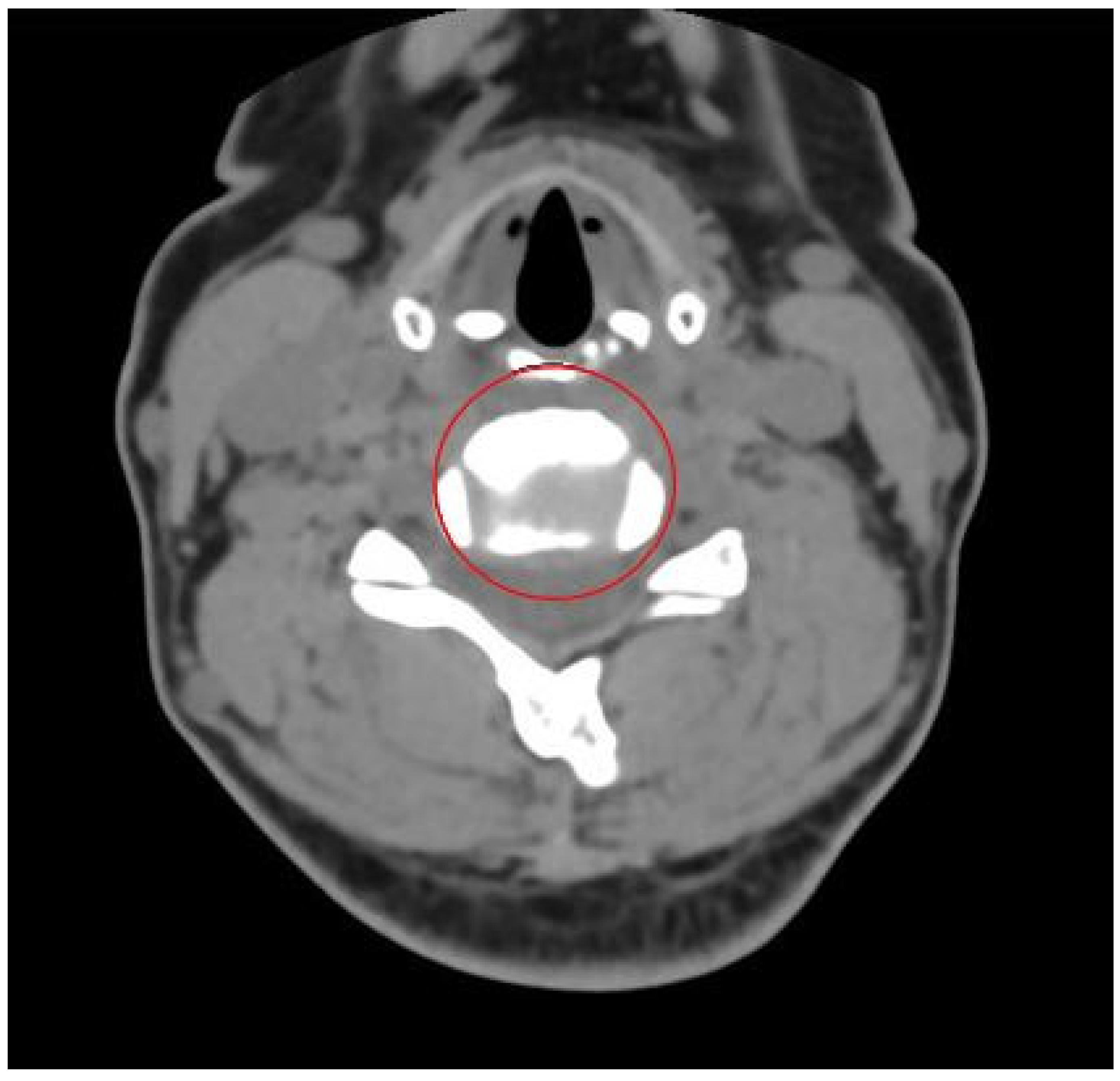 Electronics 13 00432 g003