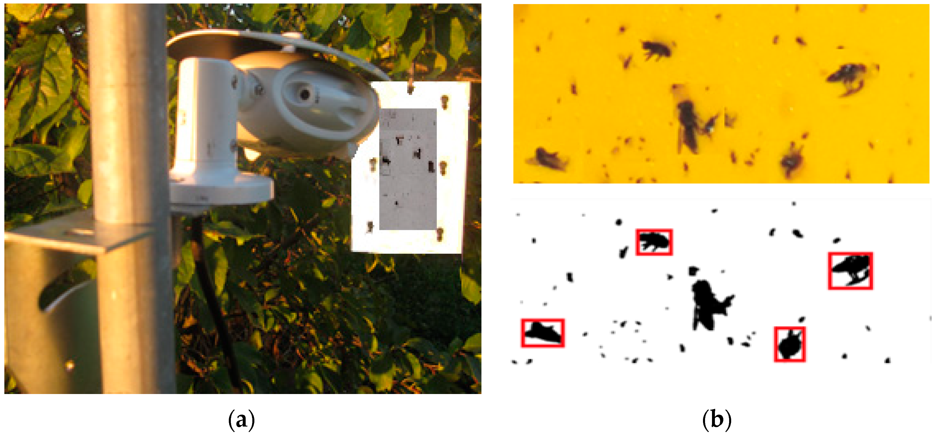 Electronics 13 00494 g005