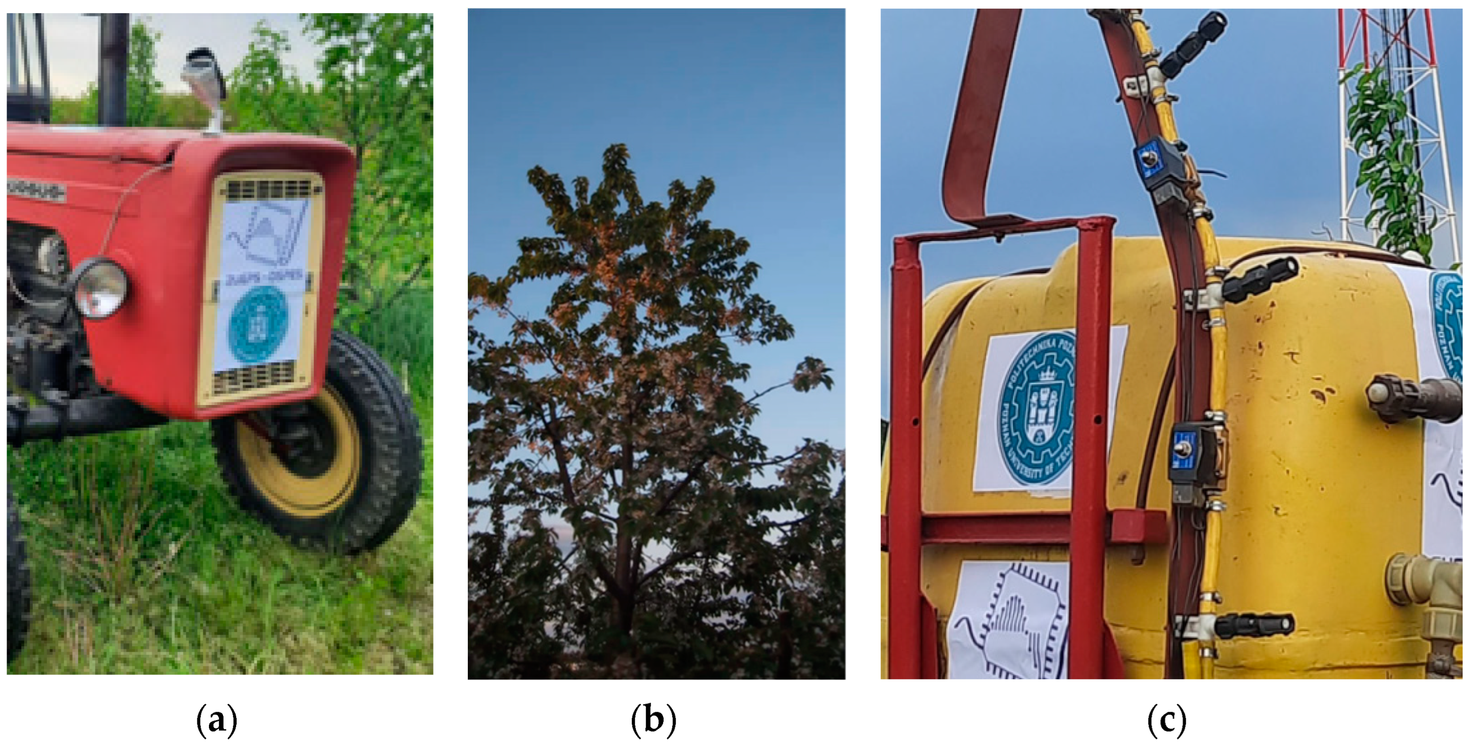 Electronics 13 00494 g009