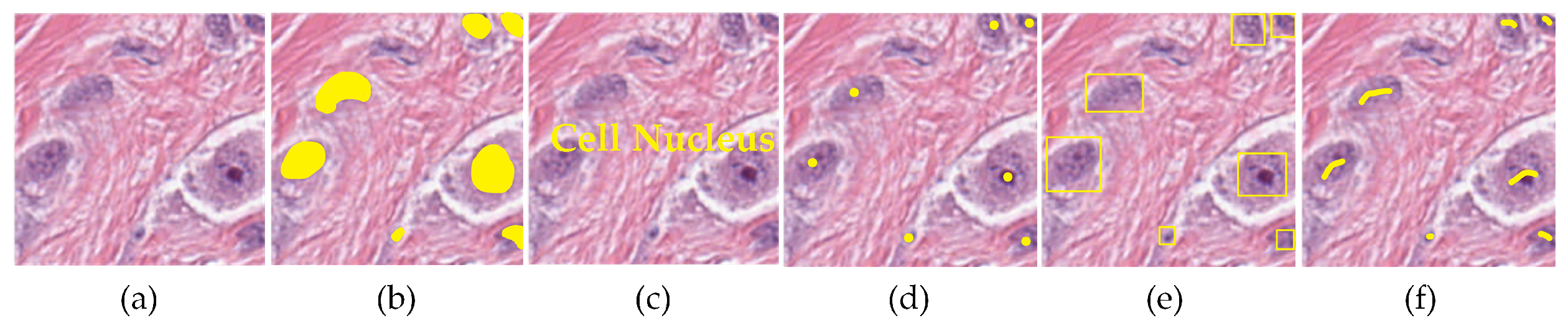 Electronics 13 00504 g001