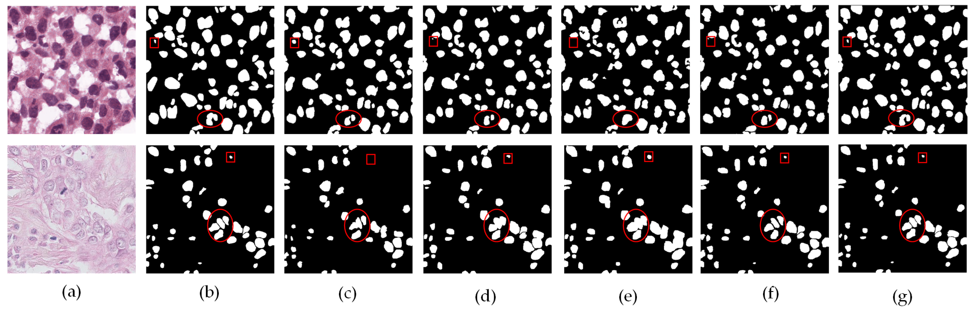 Electronics 13 00504 g008