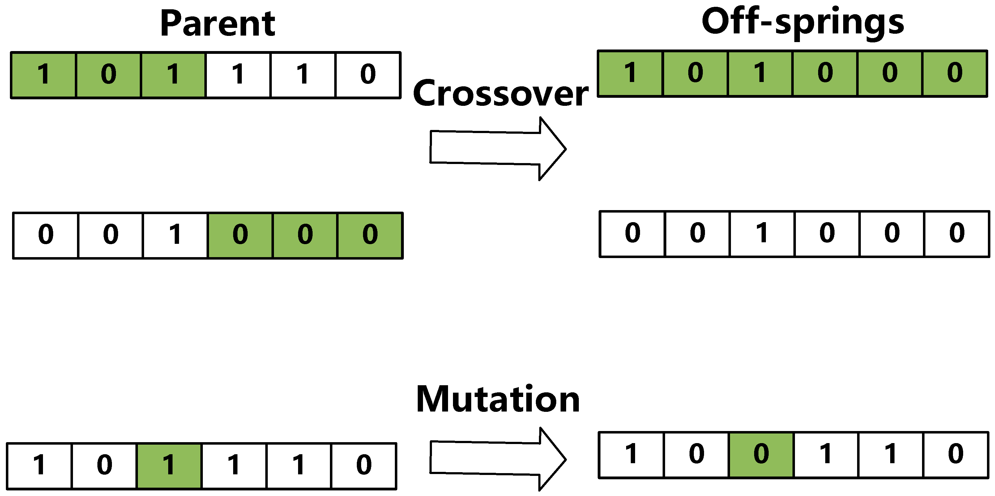 Electronics 13 00507 g004