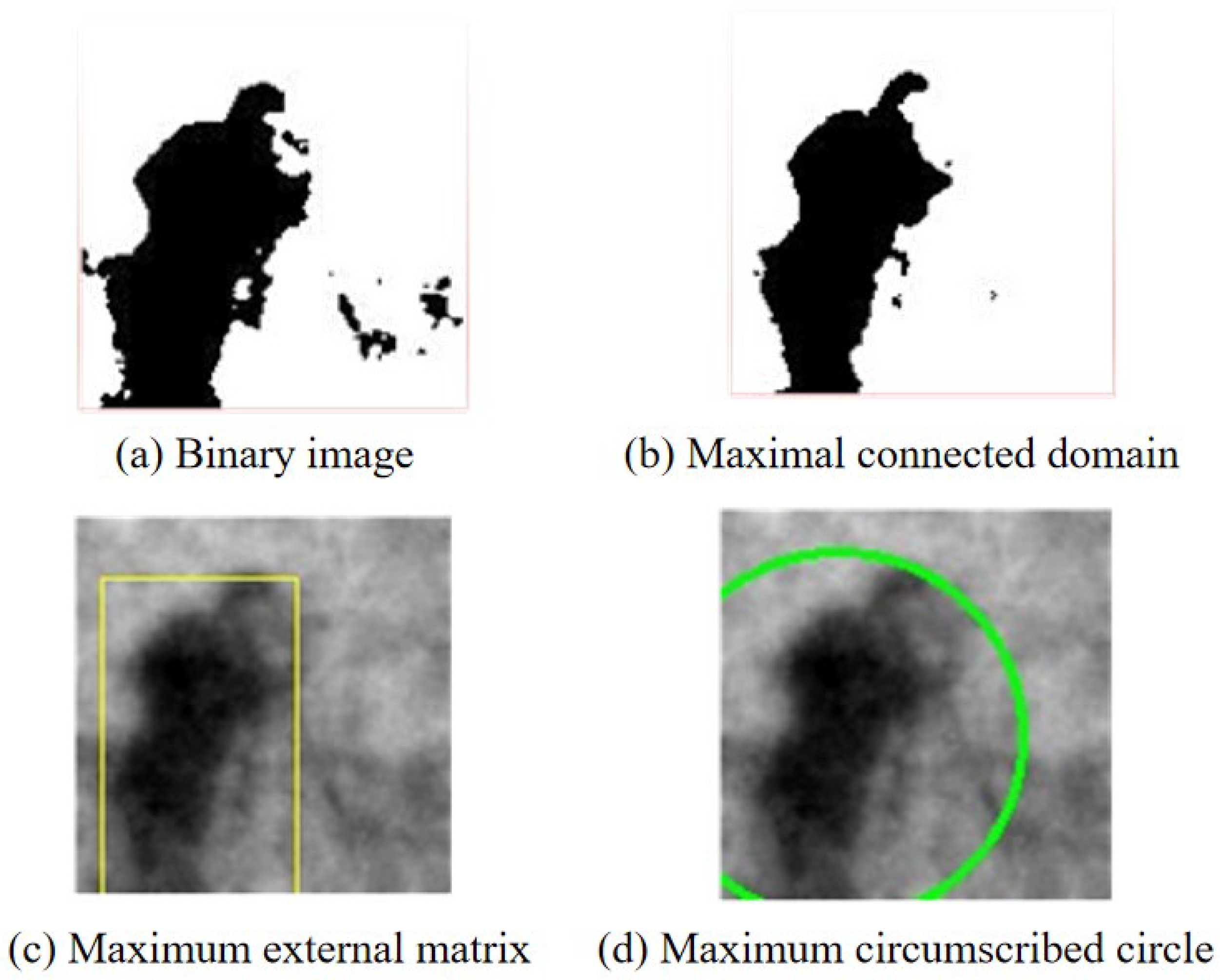 Electronics 13 00595 g004