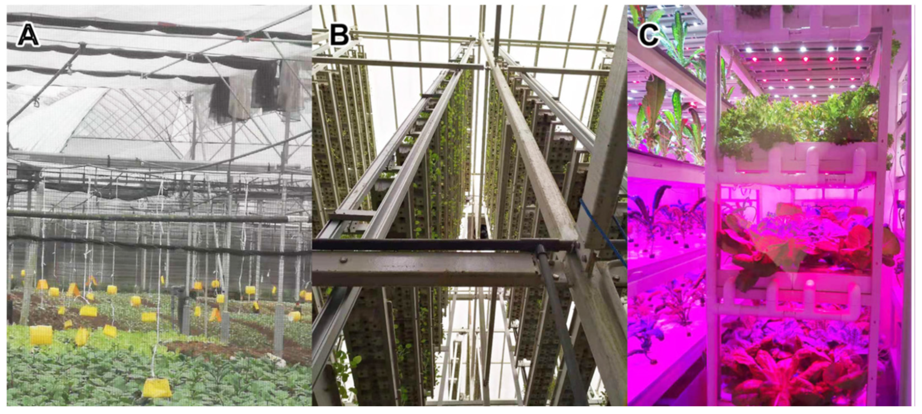 Electronics 13 00676 g001