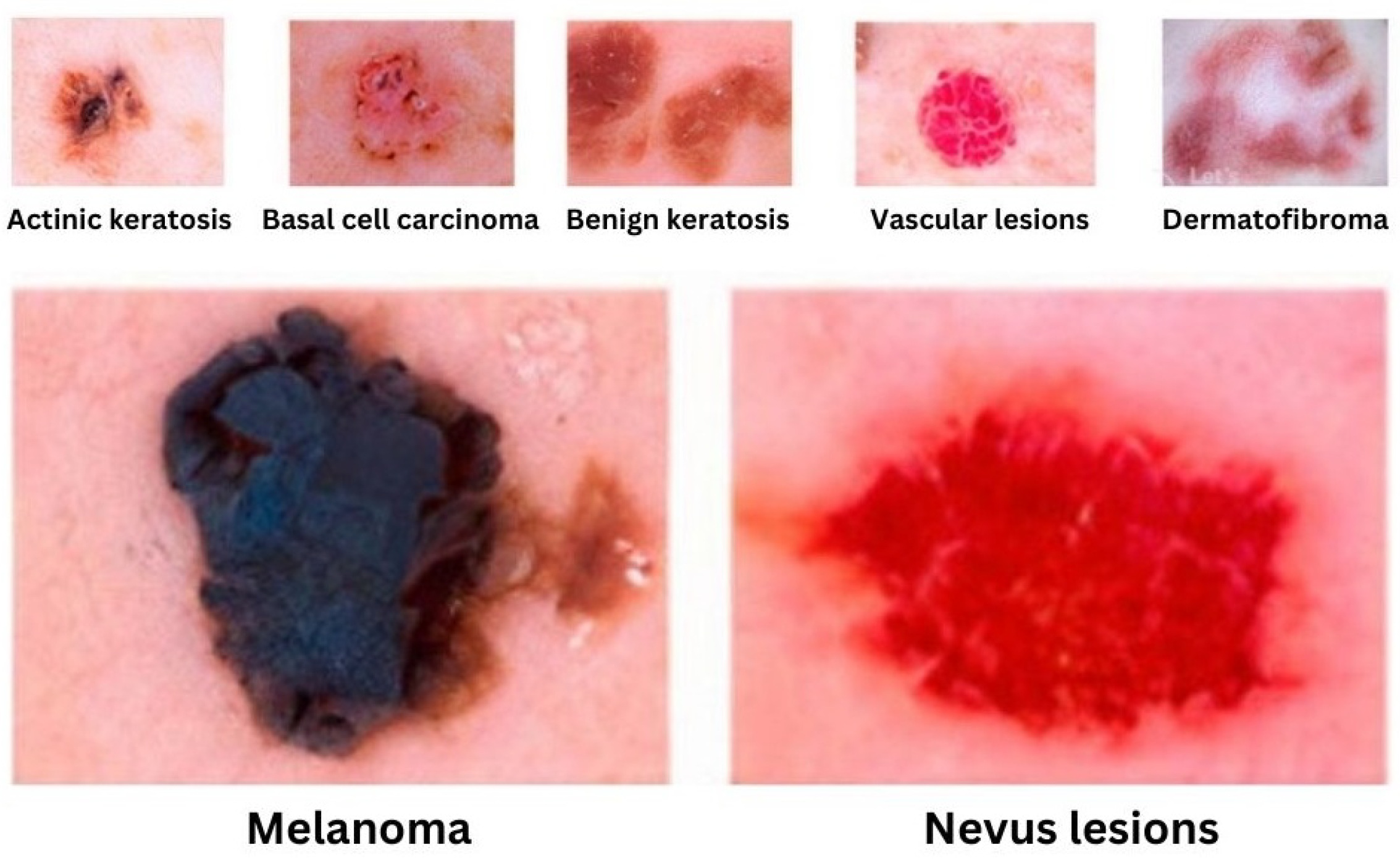 Electronics 13 00680 g003