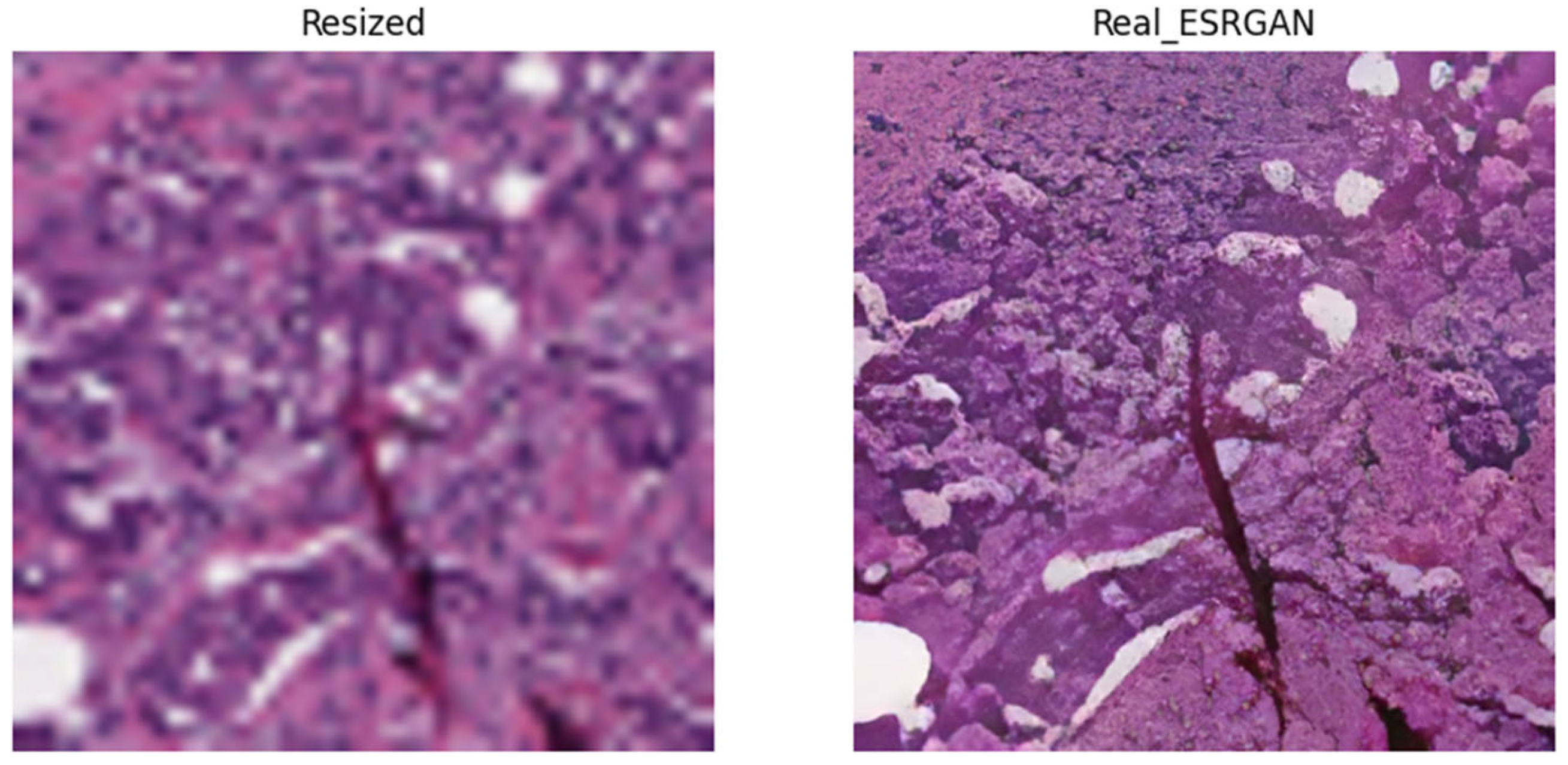 Electronics 13 00713 g007