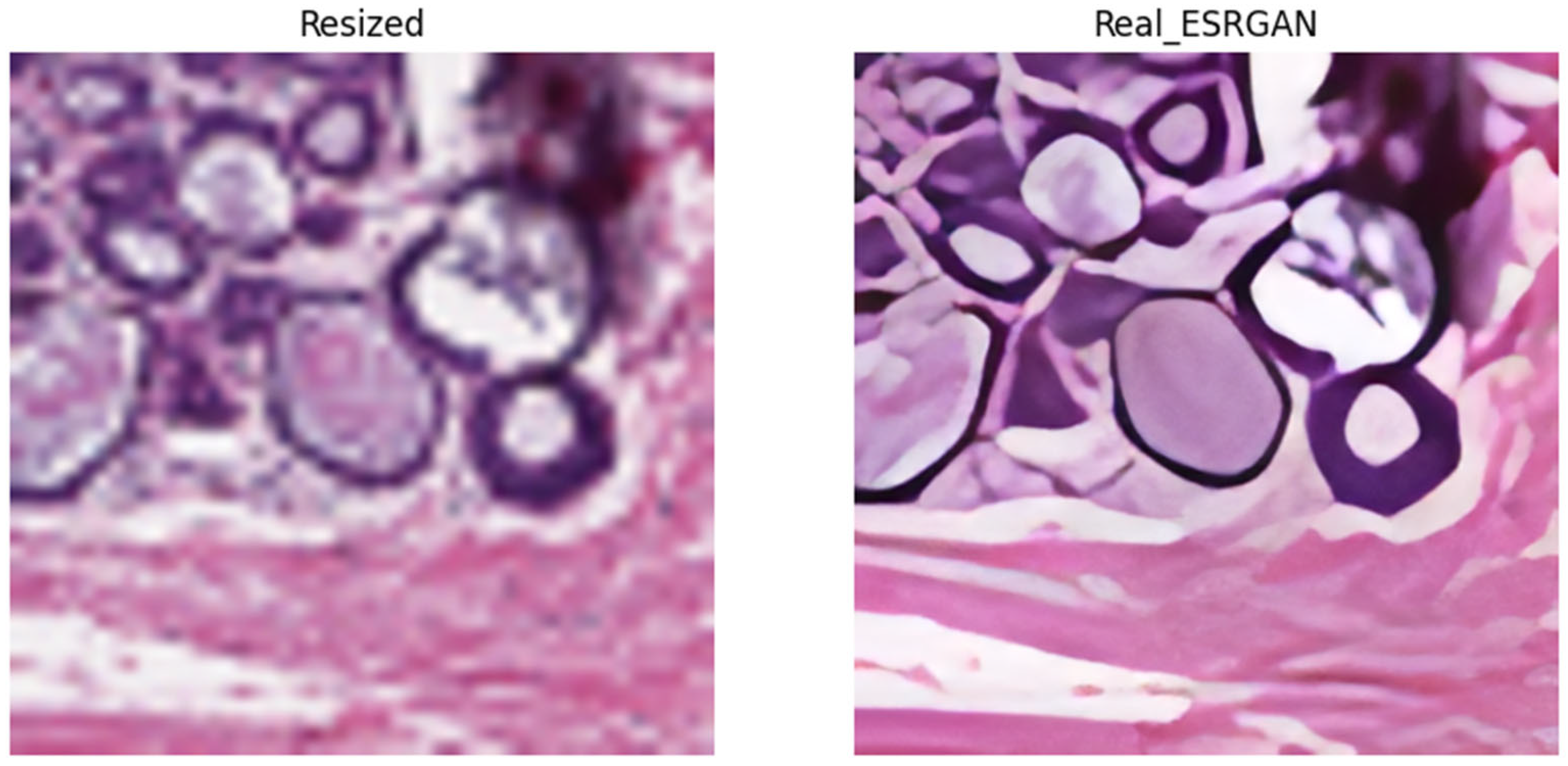 Electronics 13 00713 g008