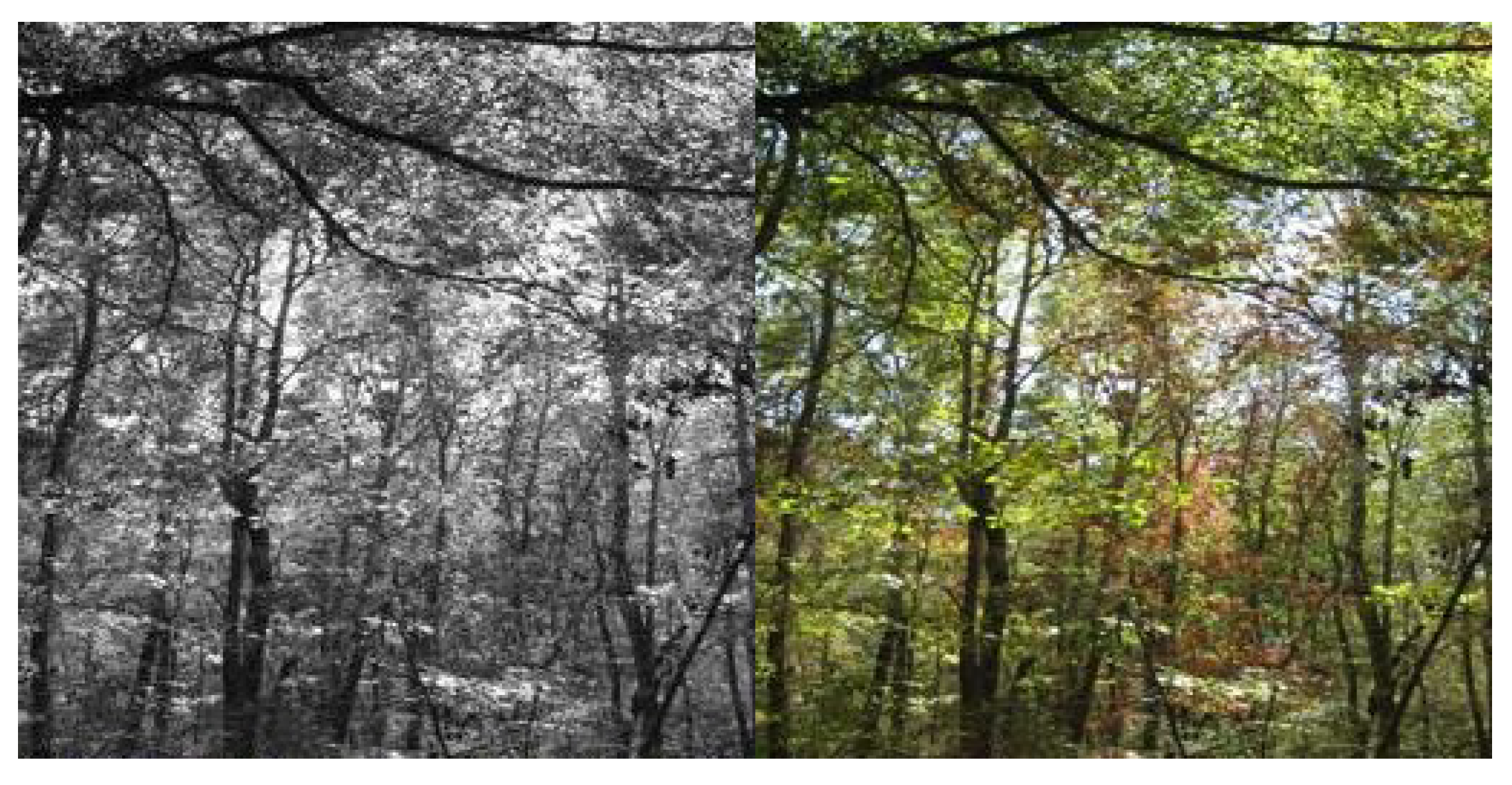 Electronics 13 00722 g008