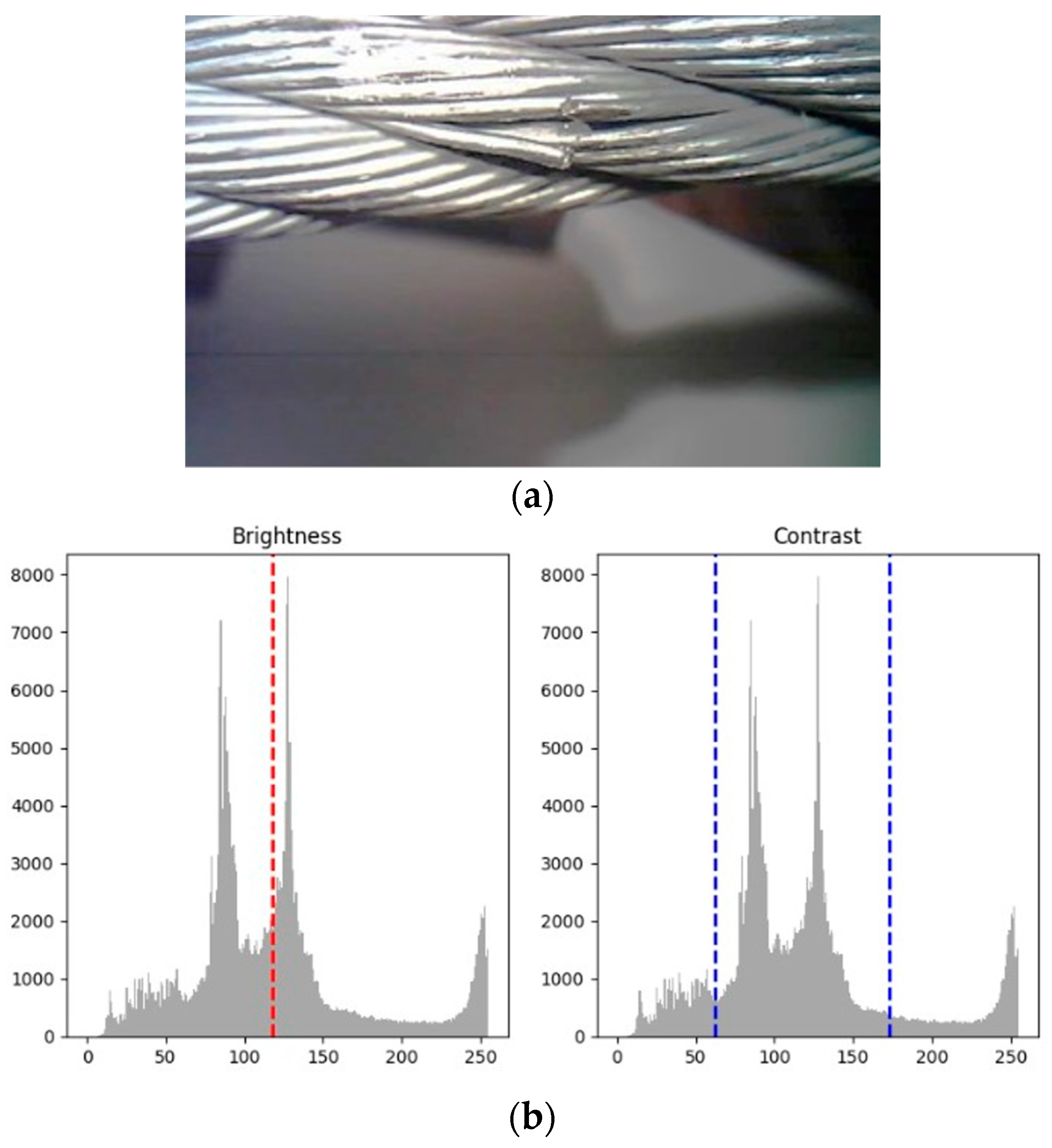 Electronics 13 00739 g002