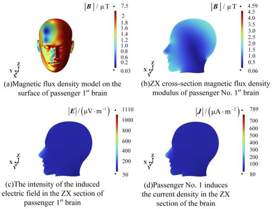 Electromagnetic Environment Assessment and Safety Research