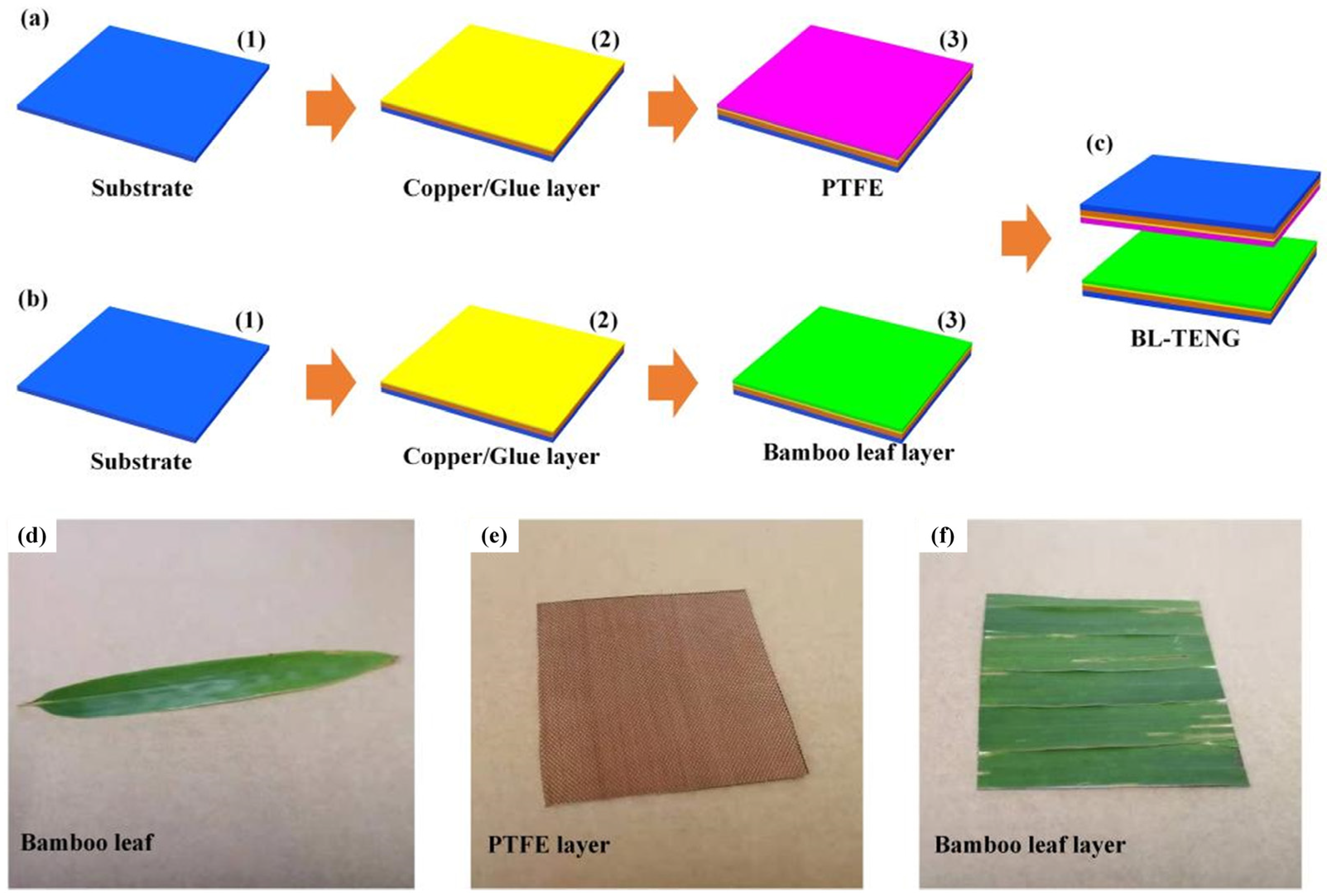 A Triboelectric Nanogenerator Based on Bamboo Leaf for A Triboelectric Nanogenerator Based on Bamboo Leaf for
