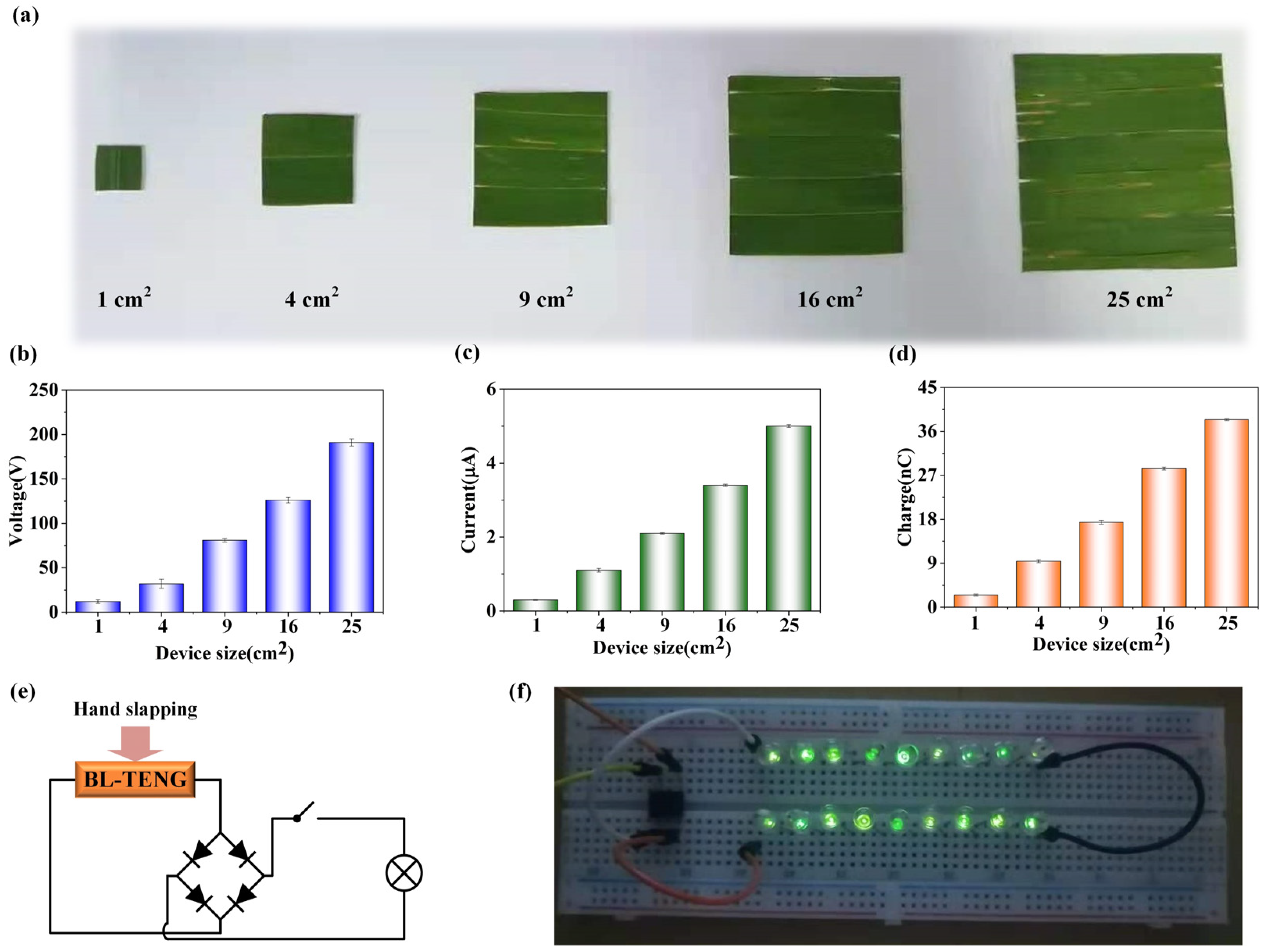 Electronics 13 00766 g005