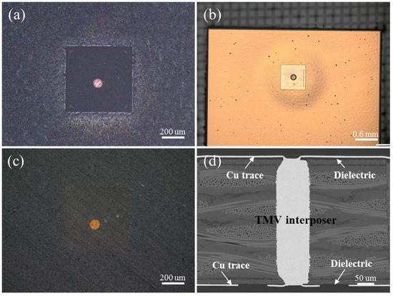 Ultrathin Antenna-in-Package Based on TMV-Embedded FOWLP for 5G mm