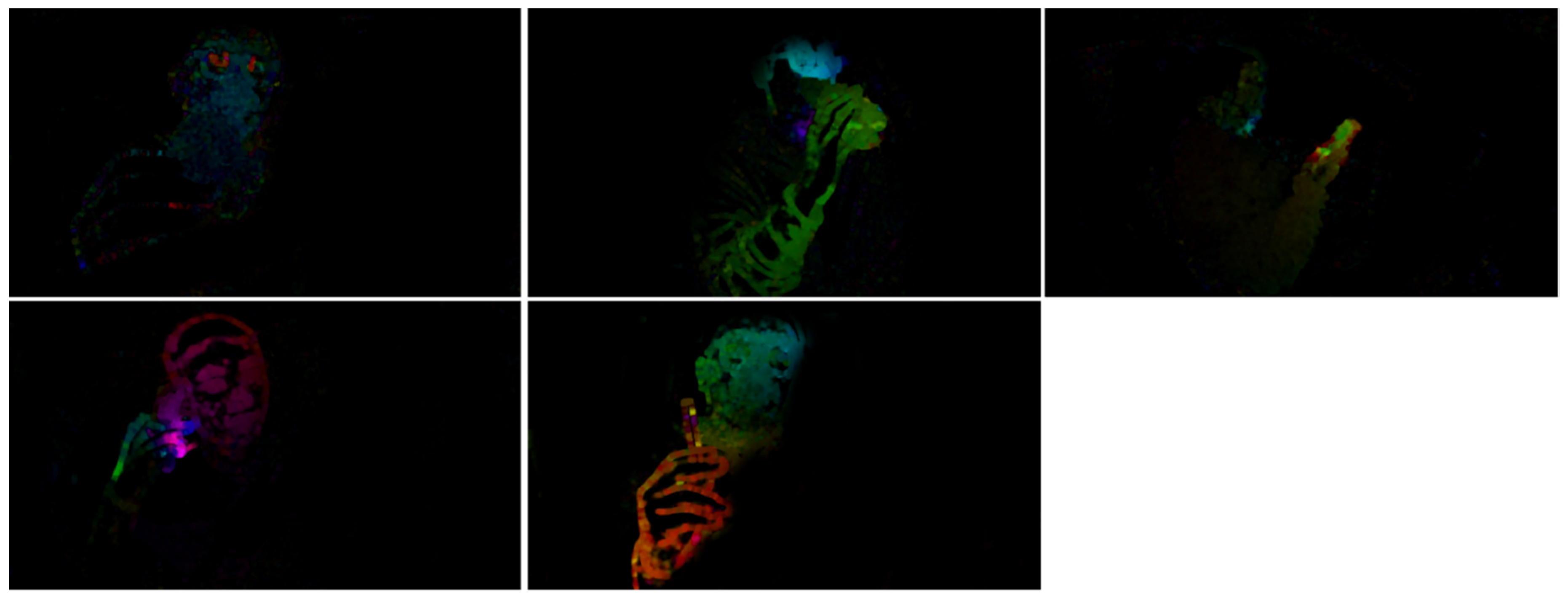 Electronics 13 01019 g005