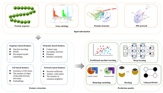 Advances in Computational Methods for Protein–Protein Interaction 