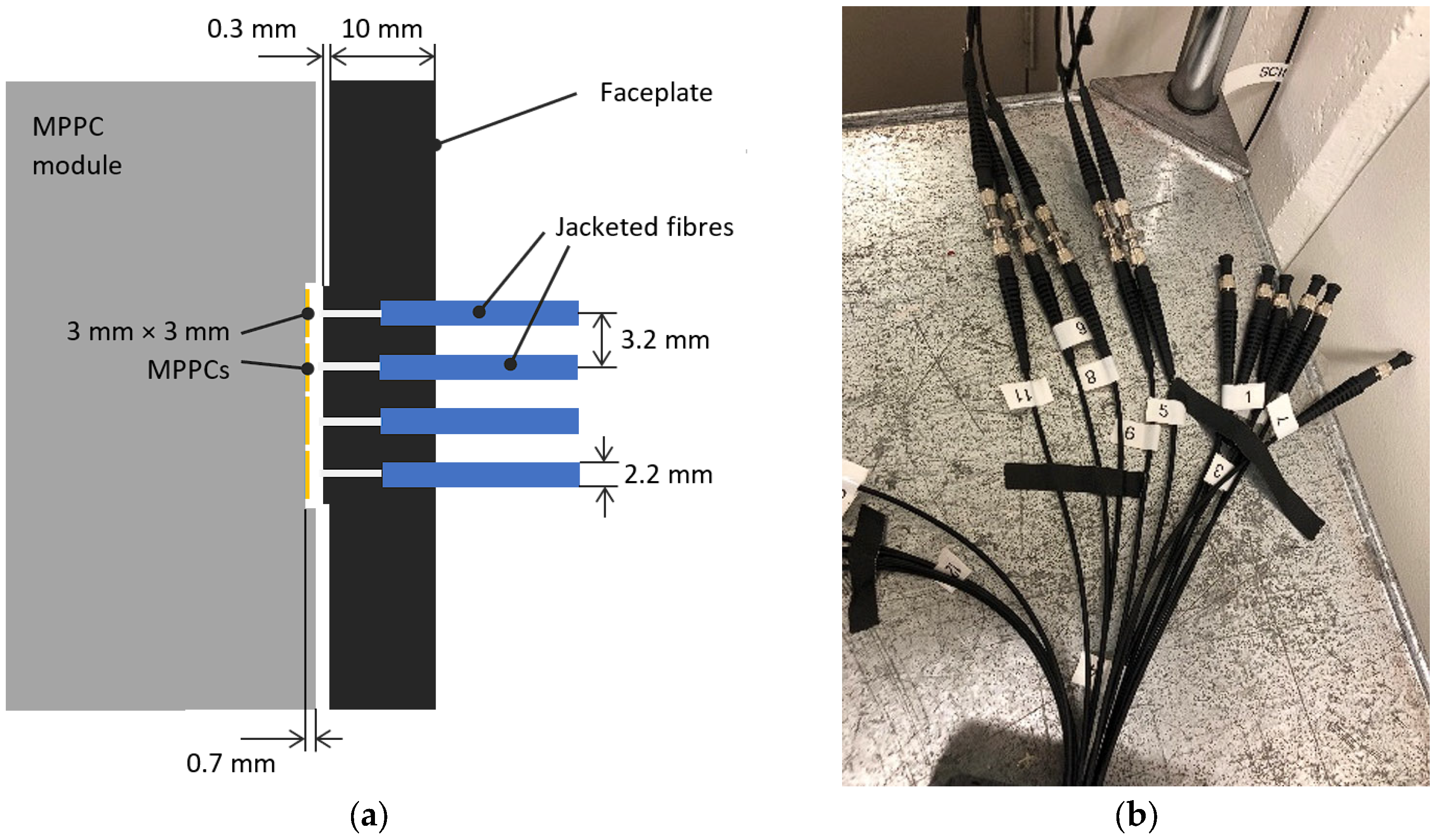 Electronics 13 01118 g003