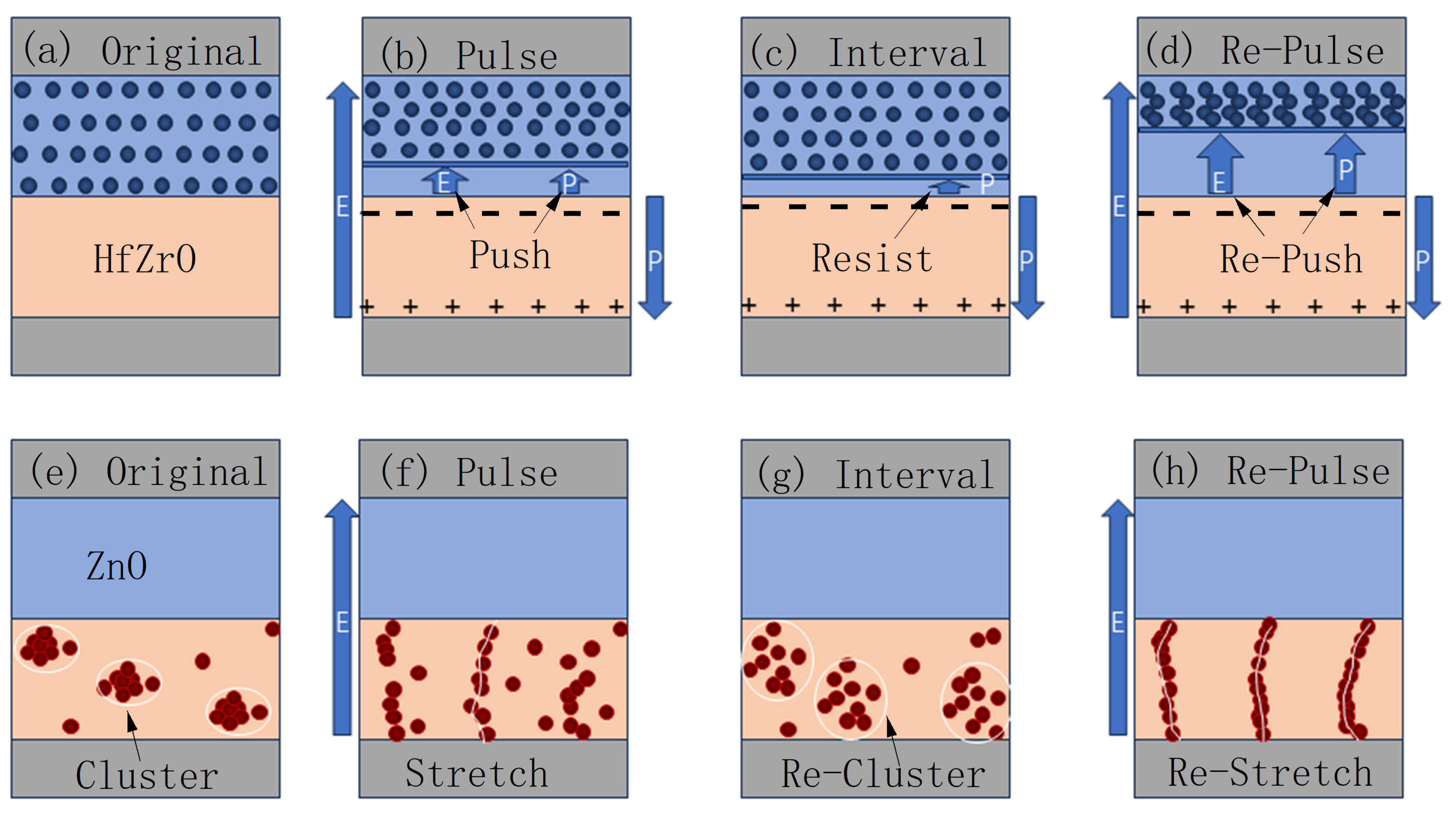 Electronics 13 01148 g005
