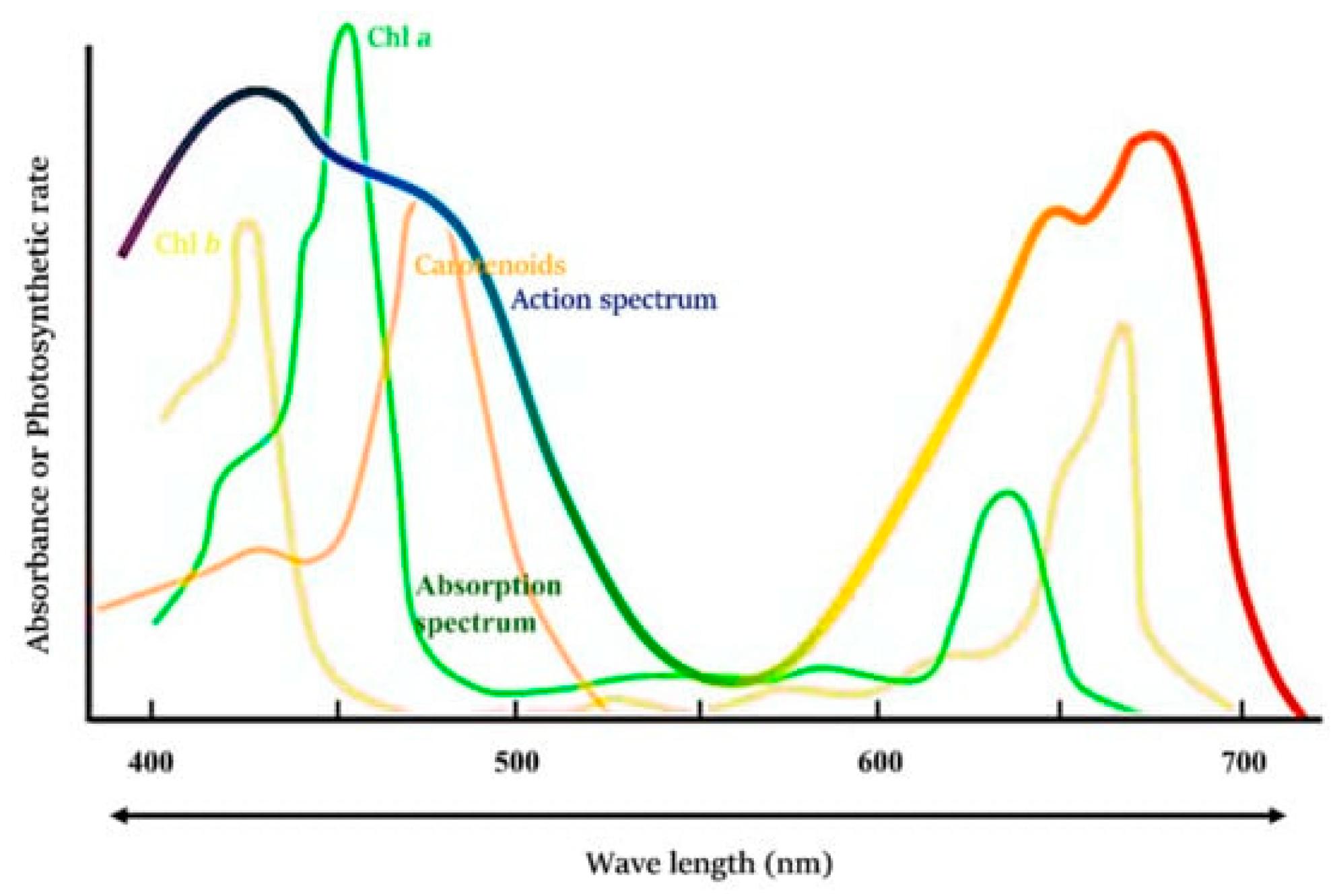 Electronics 13 01366 g004
