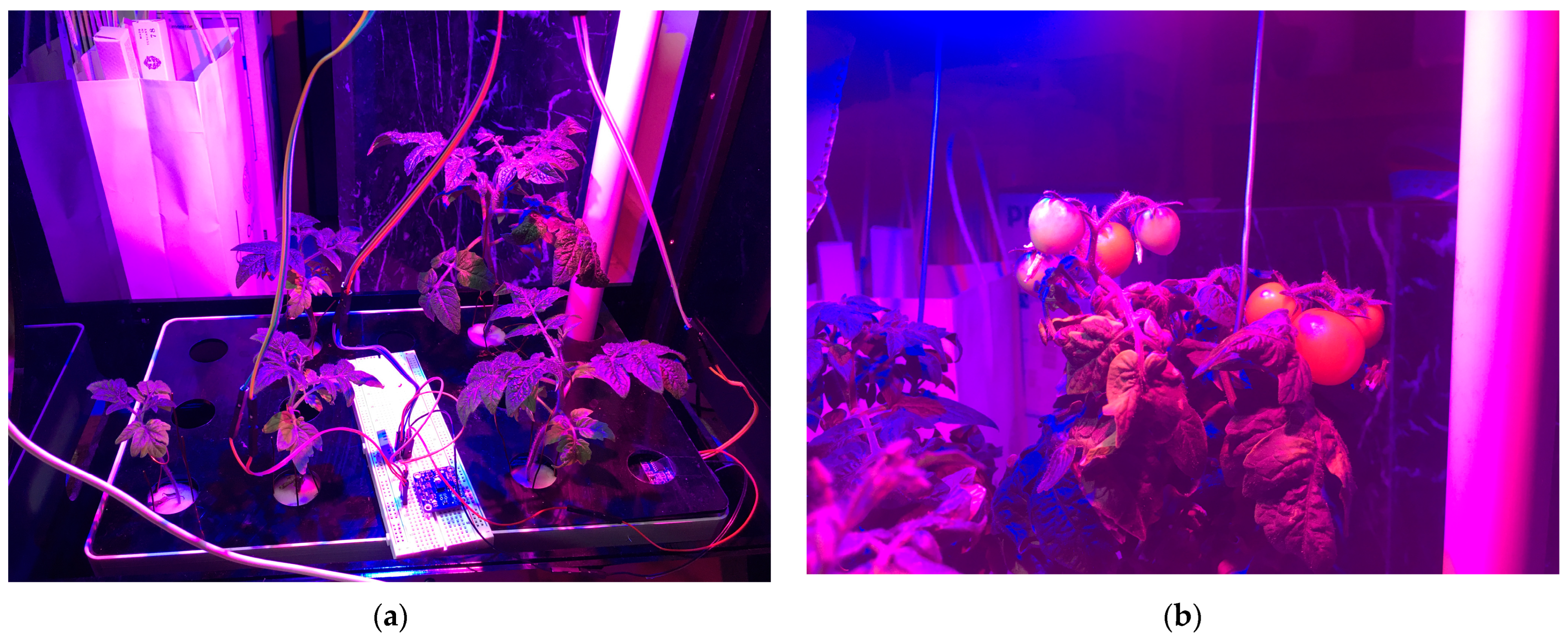 Electronics 13 01366 g018