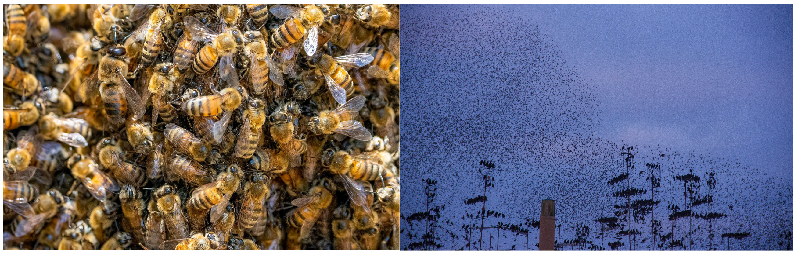 Electronics 13 01370 g002