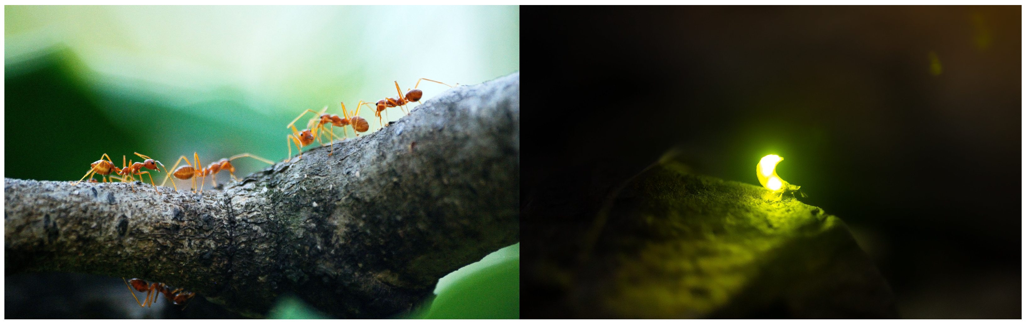 Electronics 13 01370 g003