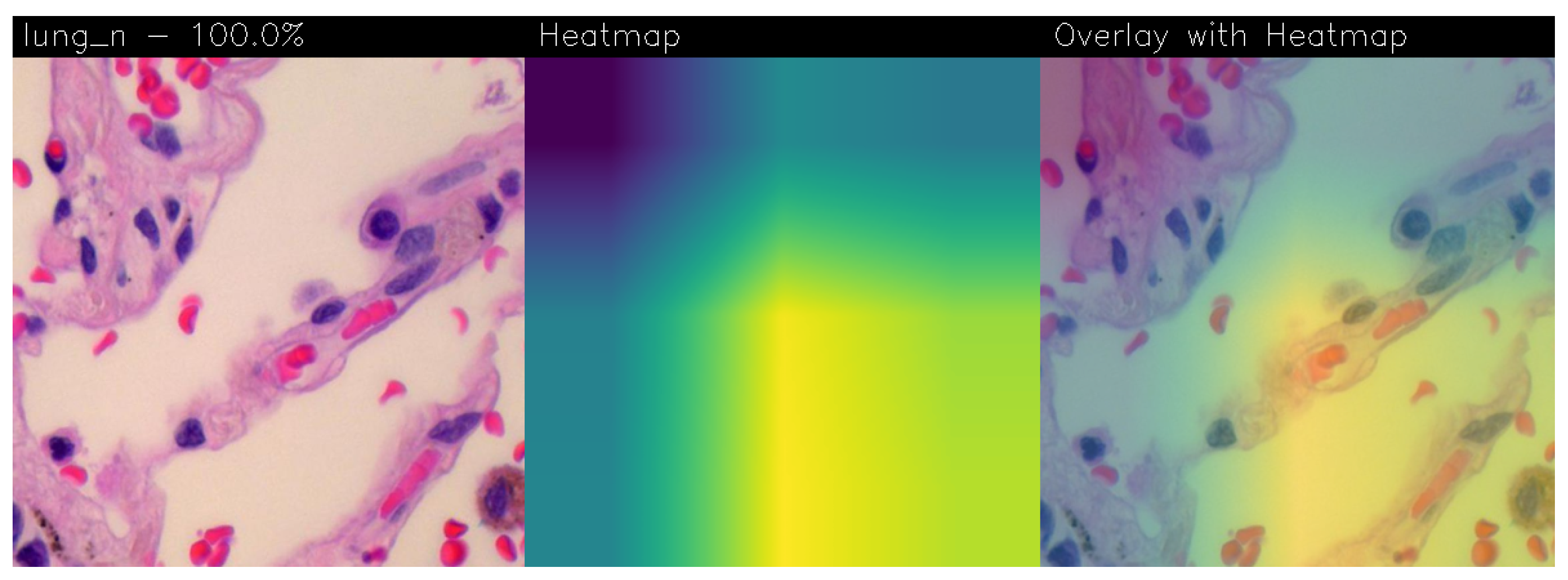 Electronics 13 01393 g009