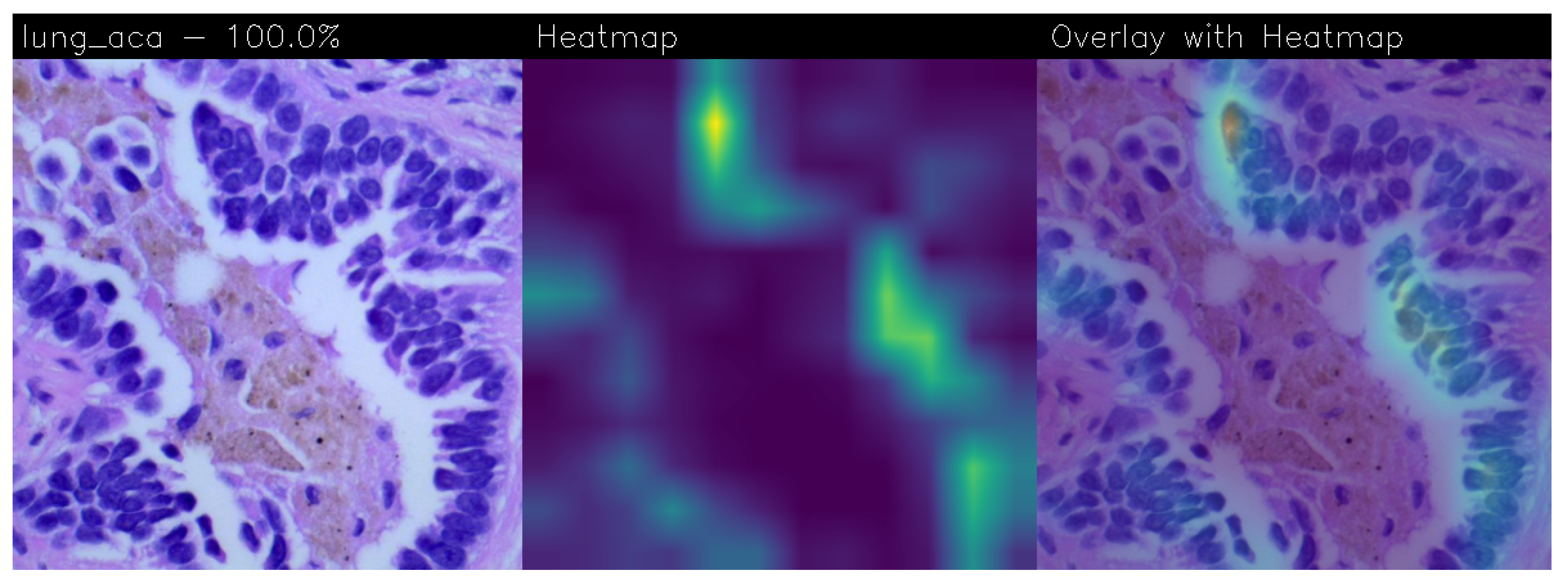 Electronics 13 01393 g010
