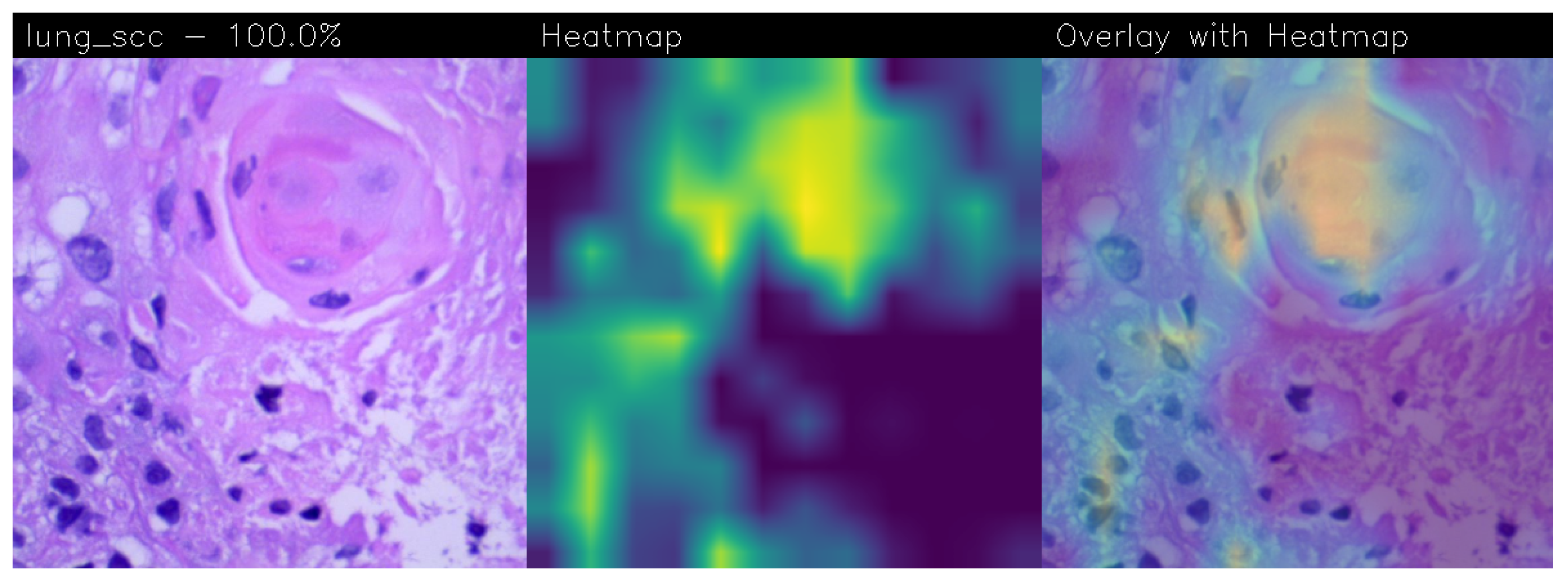 Electronics 13 01393 g011