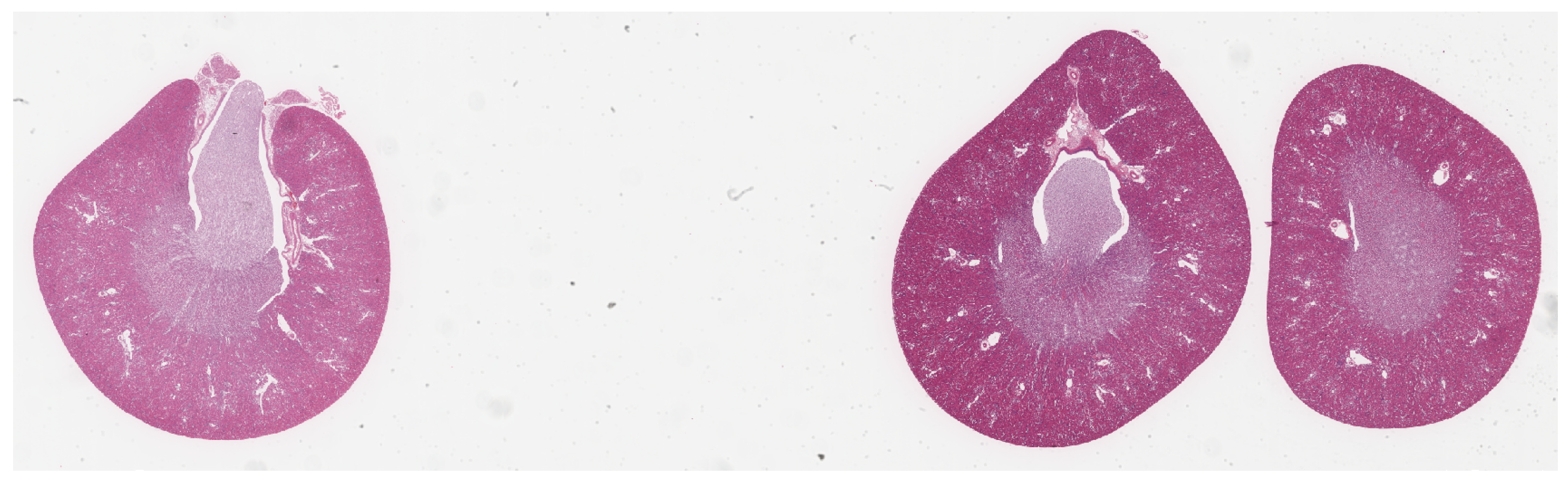 Electronics 13 01403 g001