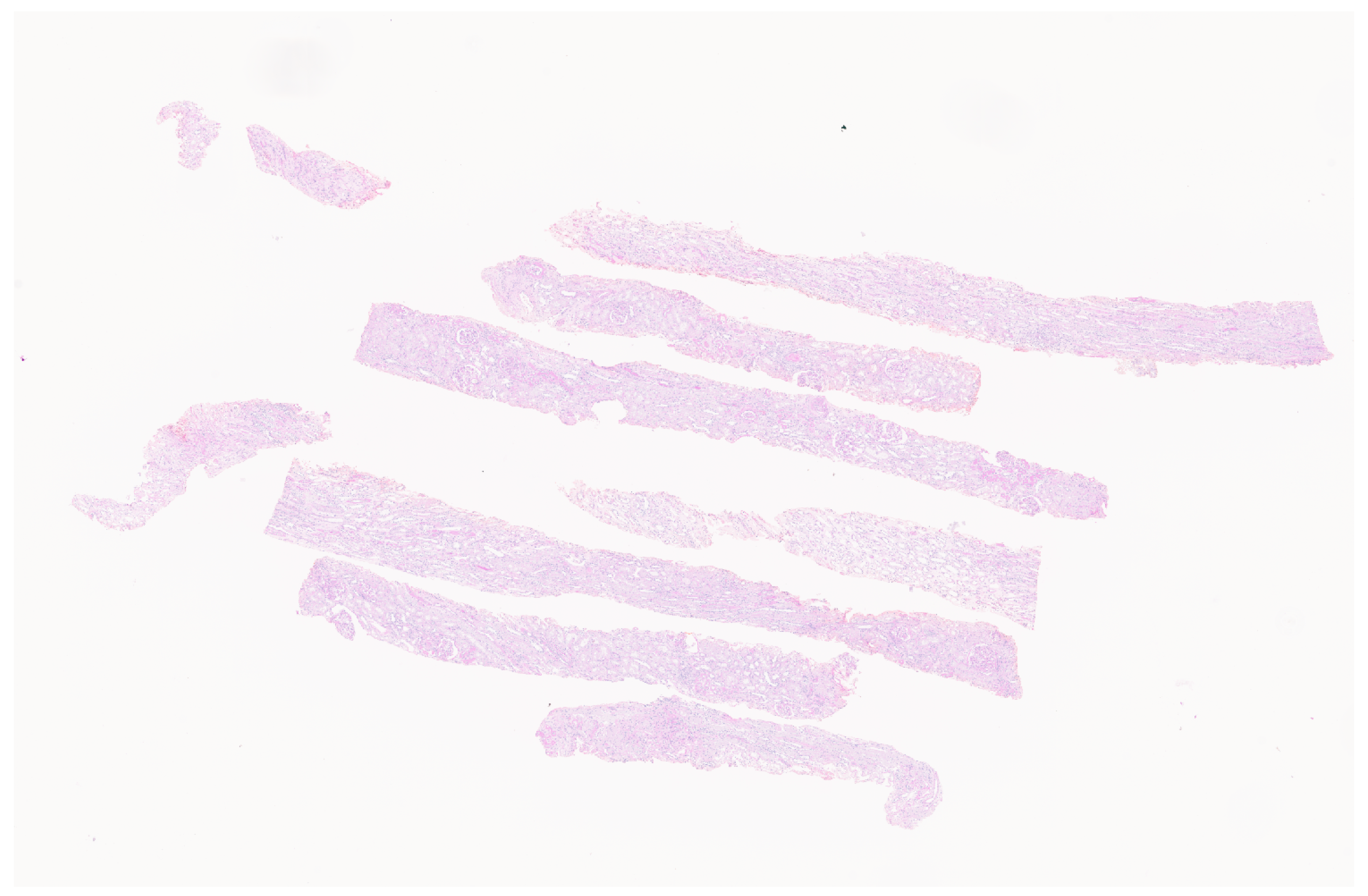 Electronics 13 01403 g002