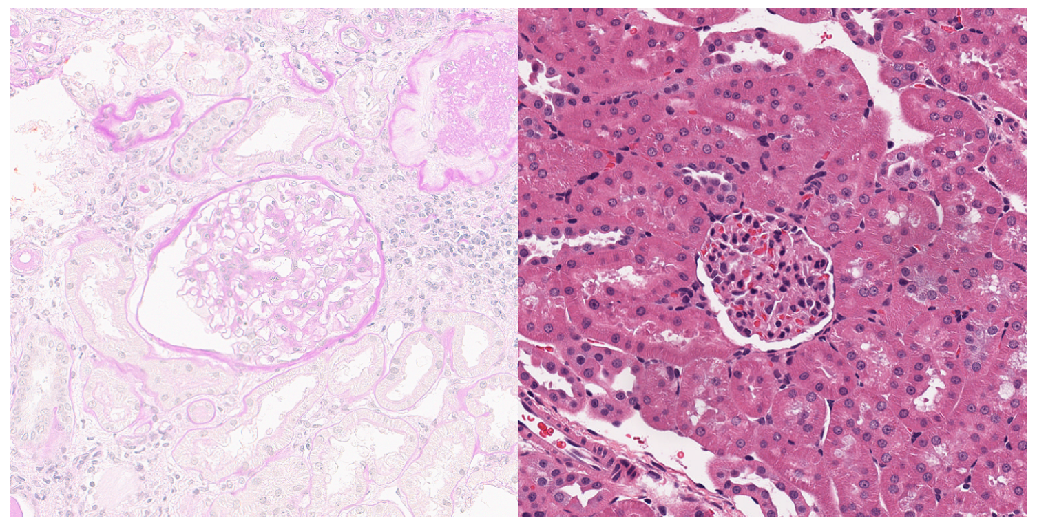 Electronics 13 01403 g003