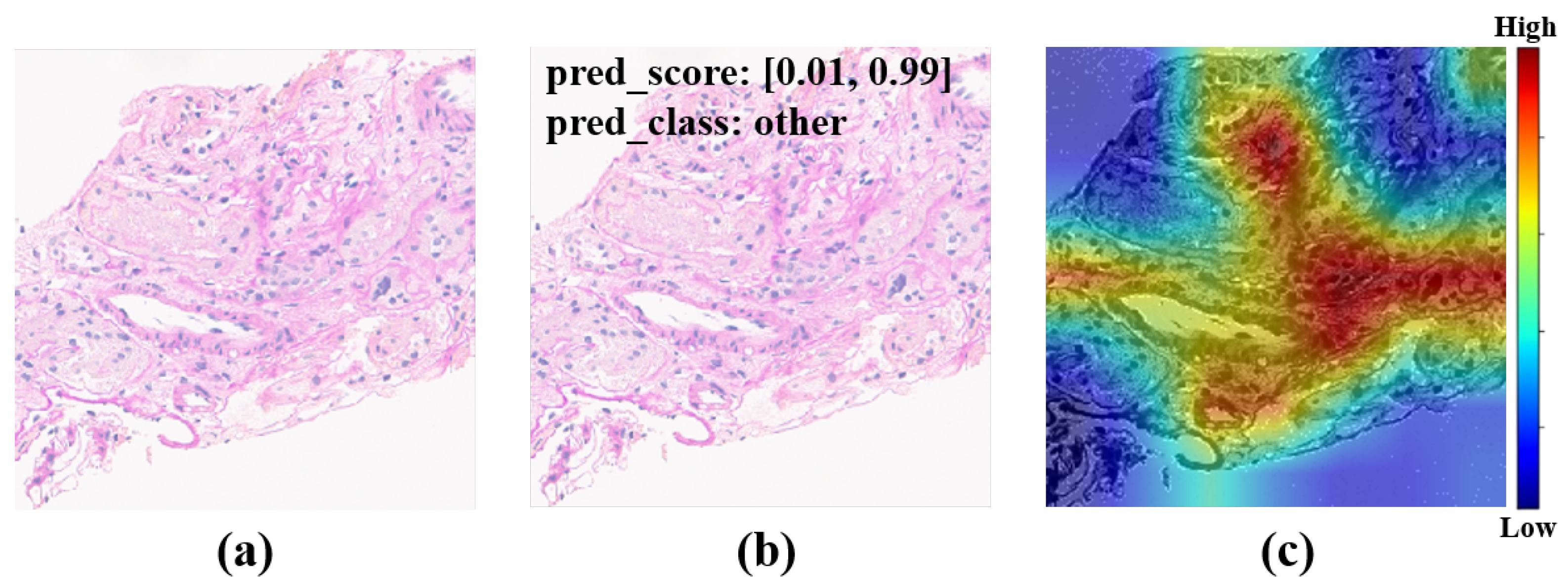 Electronics 13 01403 g015