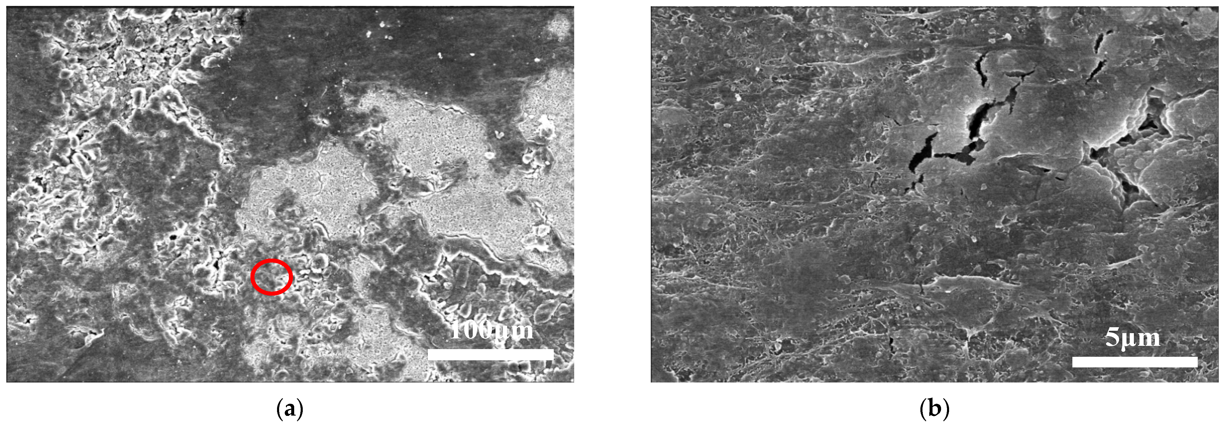 Electronics 13 01505 g006a