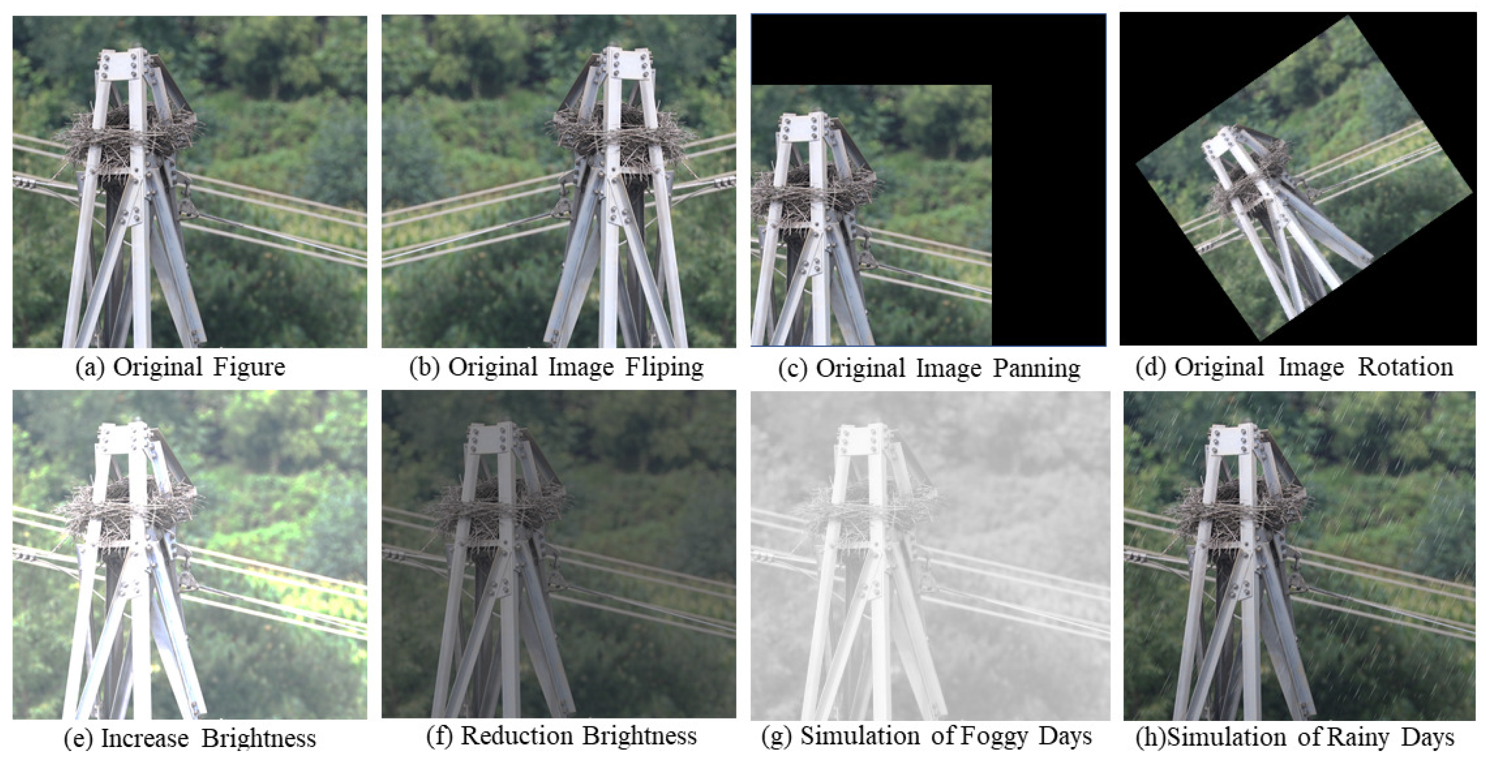 Electronics 13 01543 g010