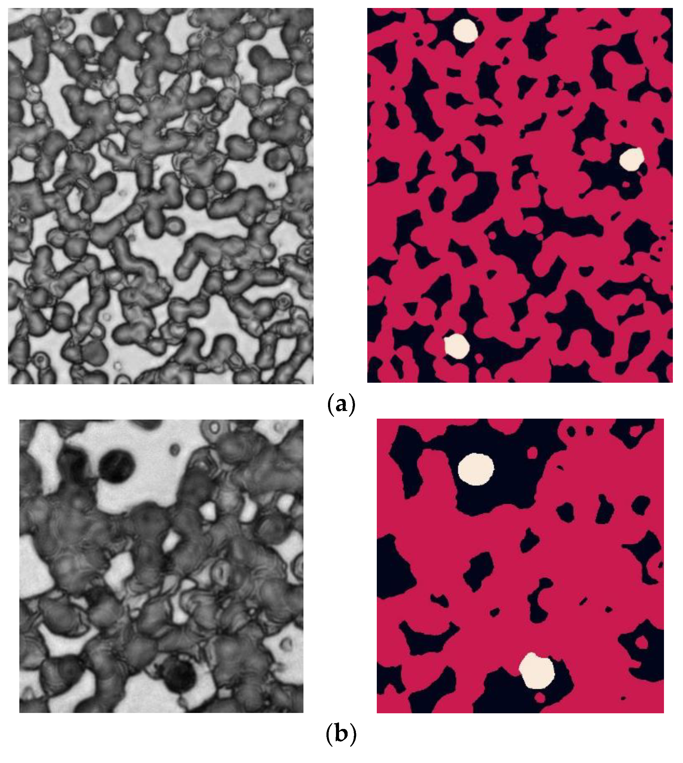 Electronics 13 01578 g005