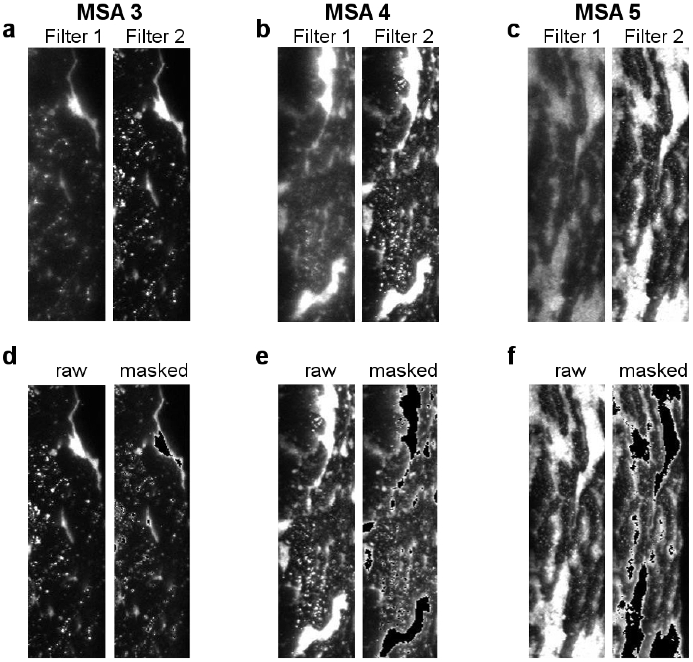 Electronics 13 01623 g002 Electronics 13 01623 g002