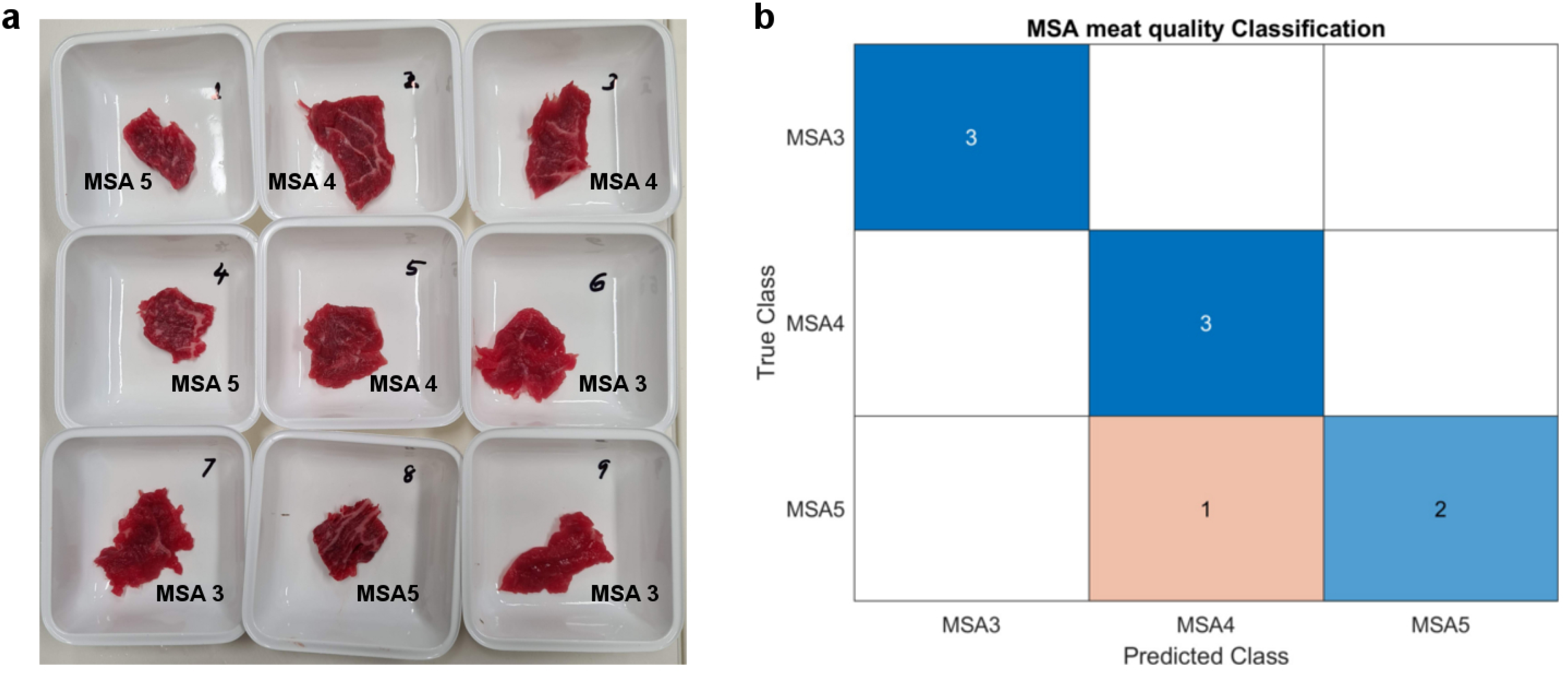 Electronics 13 01623 g005 Electronics 13 01623 g005