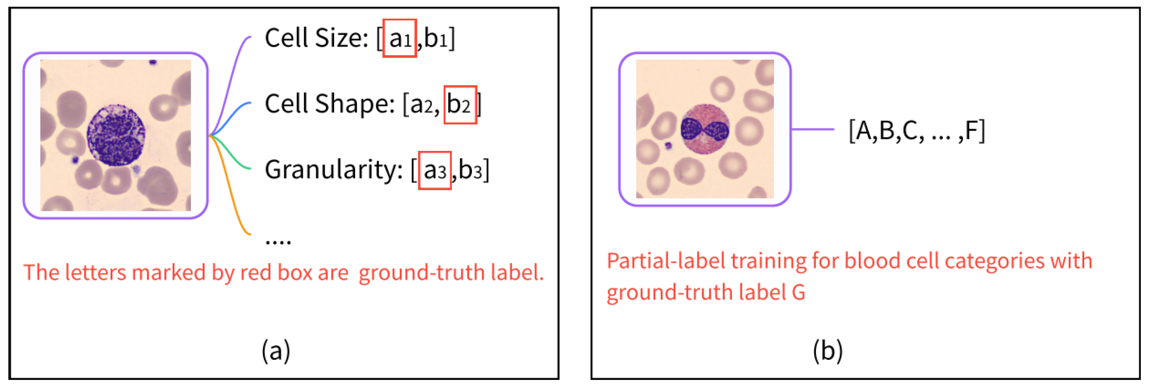 Electronics 13 01698 g001