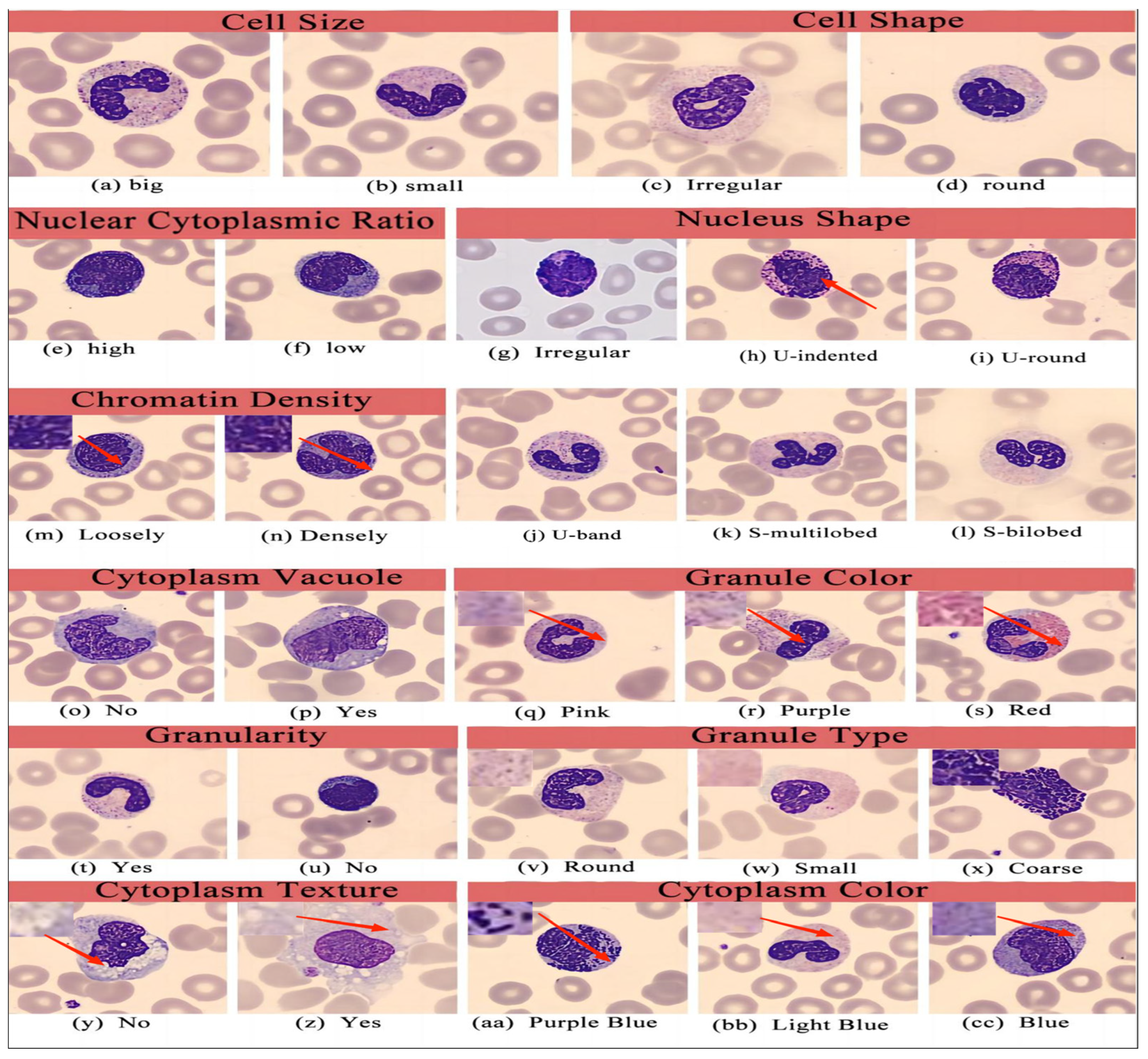 Electronics 13 01698 g002