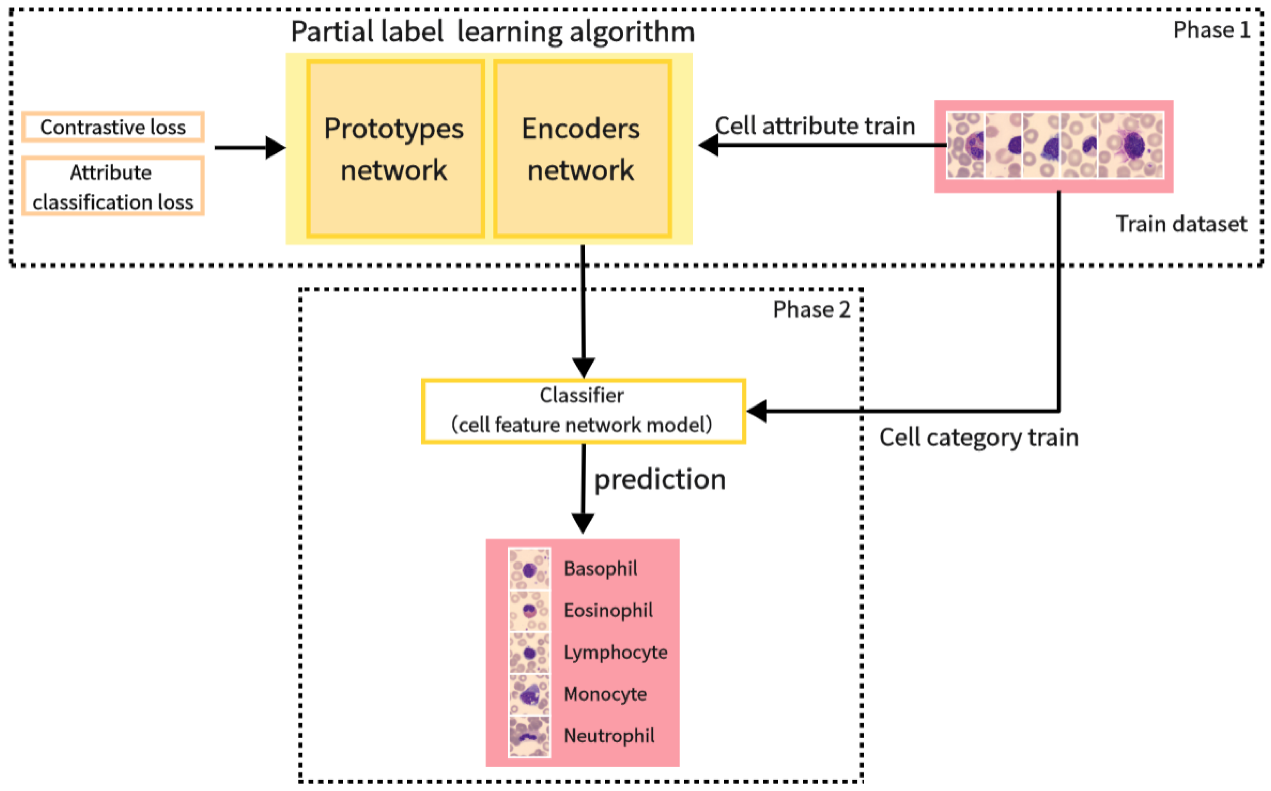 Electronics 13 01698 g004
