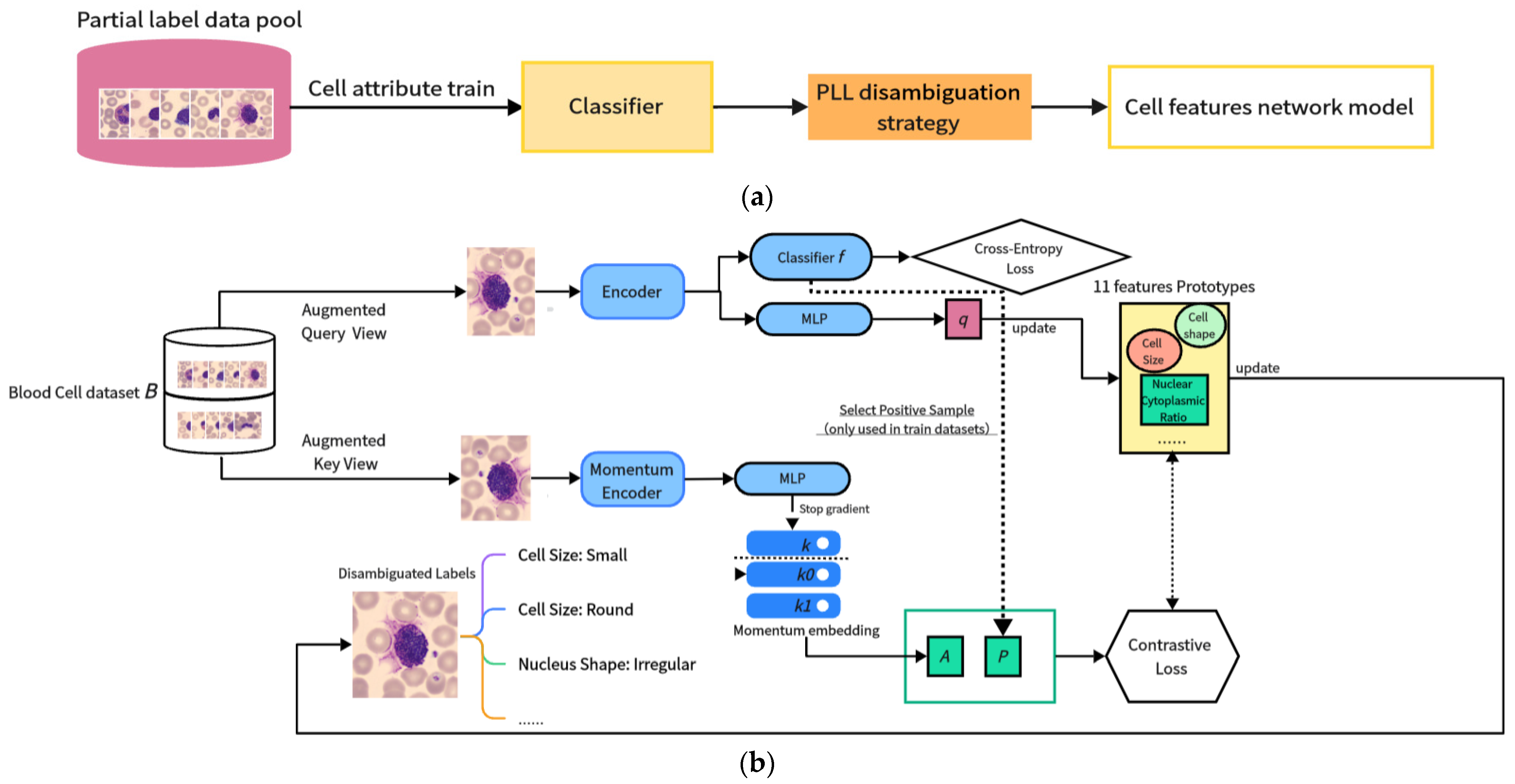 Electronics 13 01698 g005