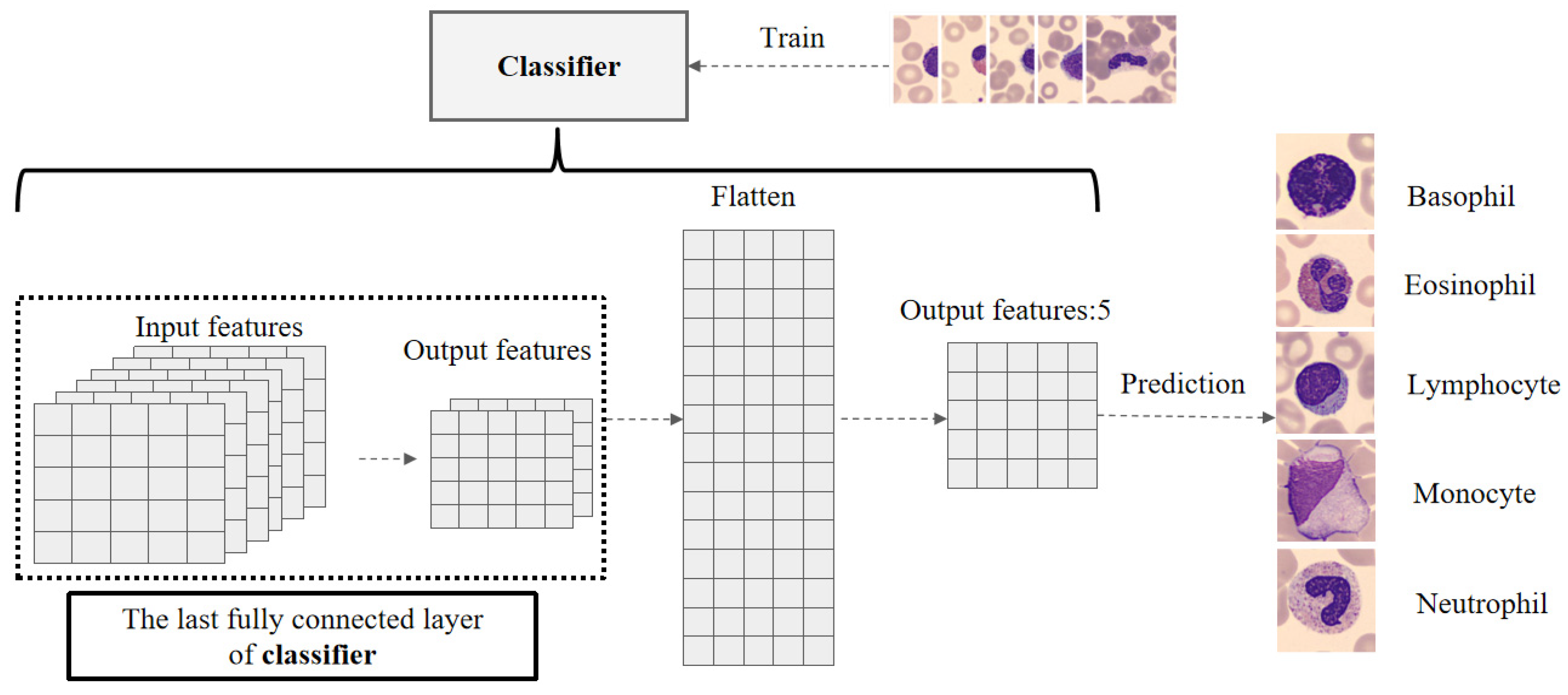 Electronics 13 01698 g006